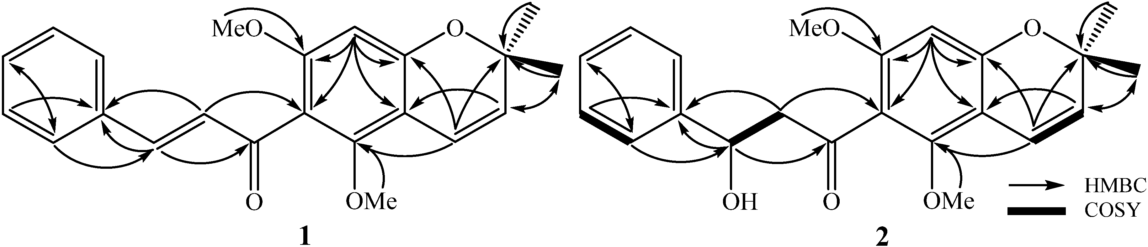 Ijms 21 06470 g002 Ijms 21 06470 g002