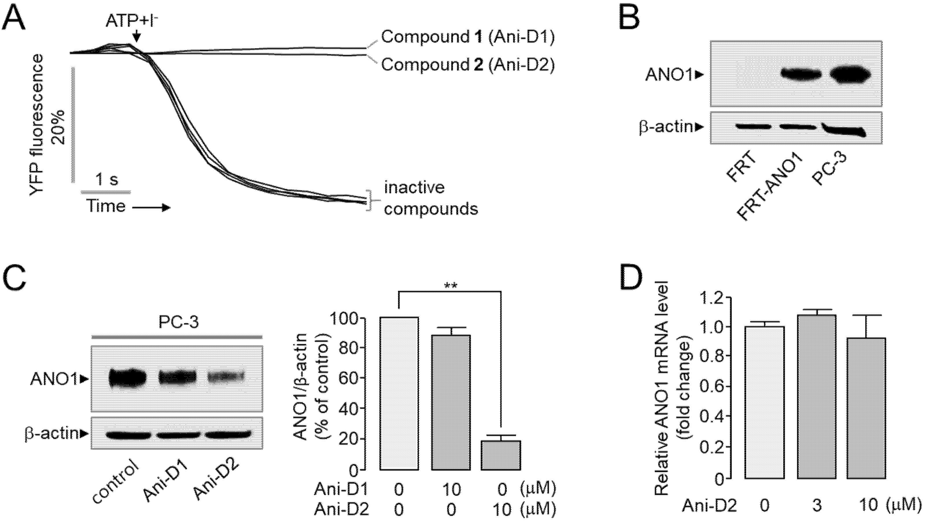 Ijms 21 06470 g003 Ijms 21 06470 g003