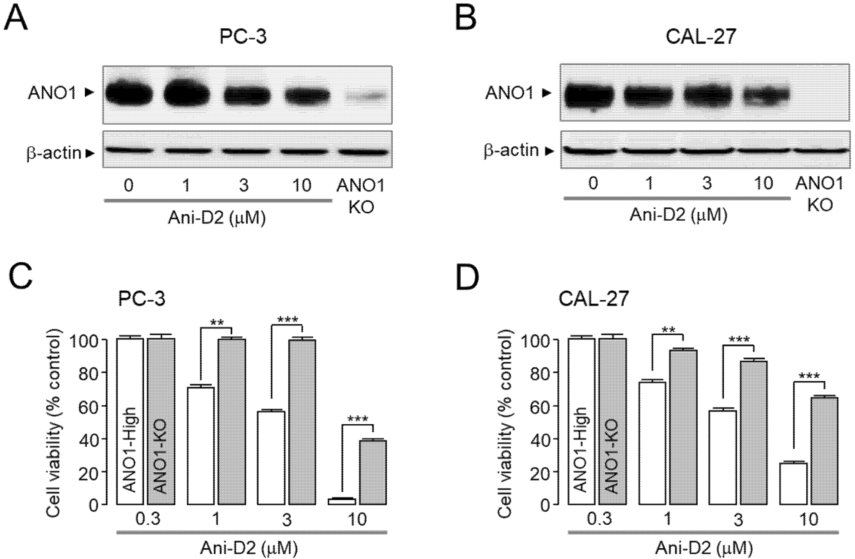 Ijms 21 06470 g005 Ijms 21 06470 g005
