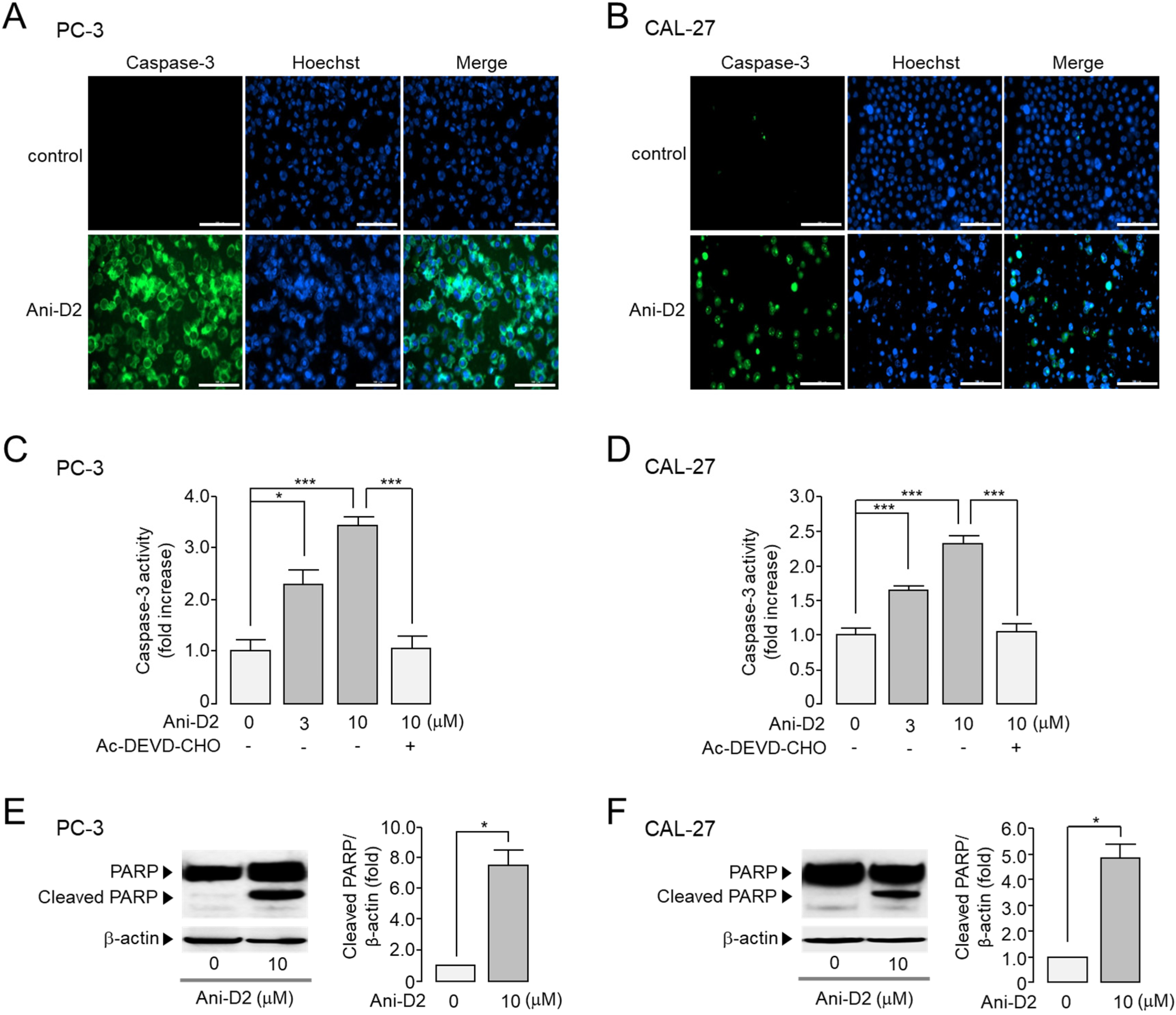 Ijms 21 06470 g007 Ijms 21 06470 g007