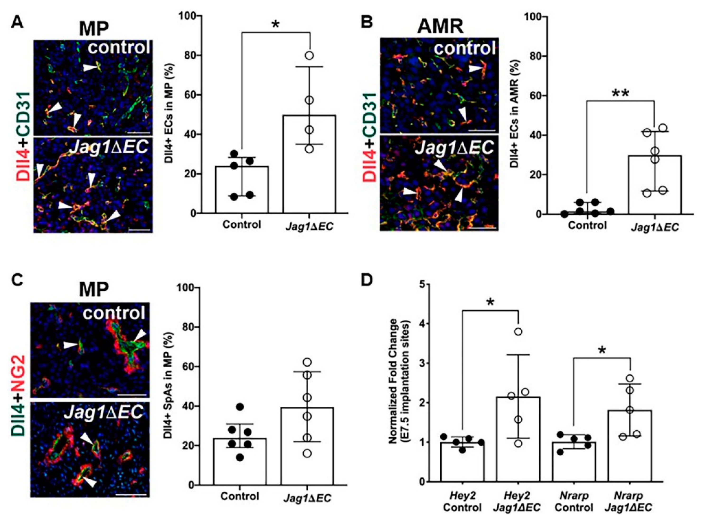 Ijms 21 06477 g006 Ijms 21 06477 g006