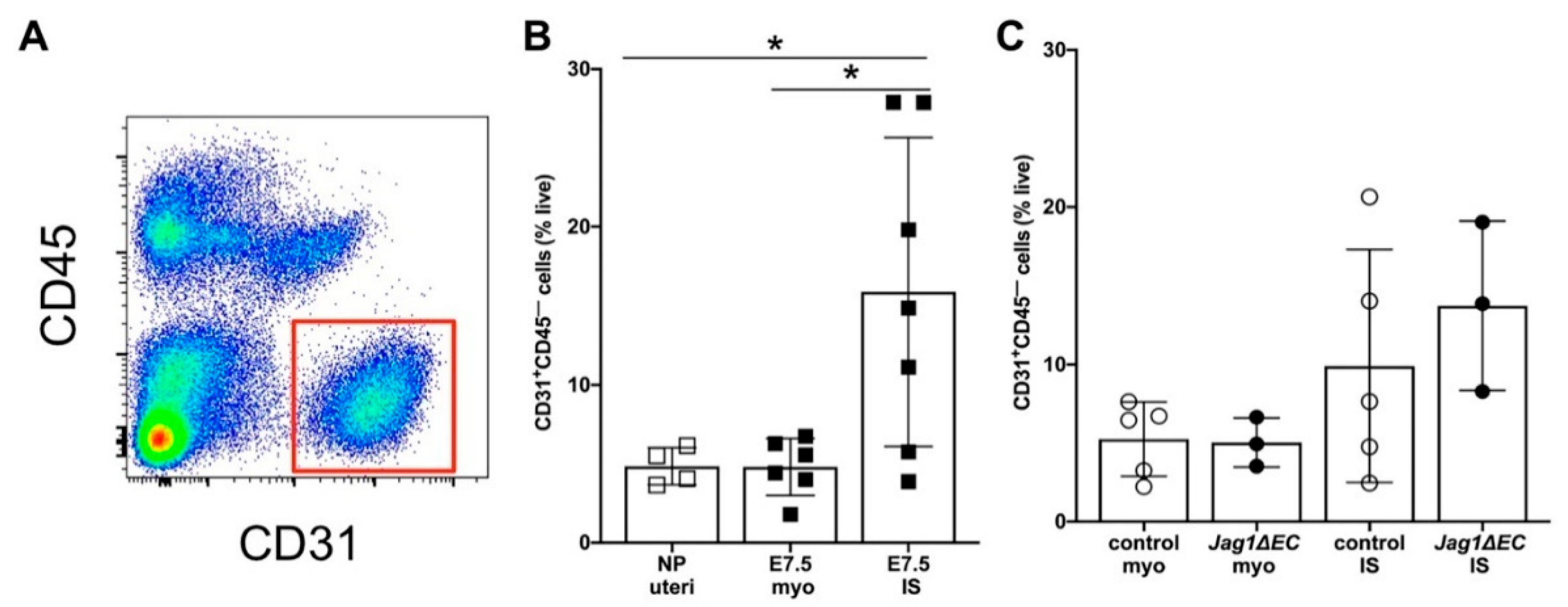 Ijms 21 06477 g008 Ijms 21 06477 g008