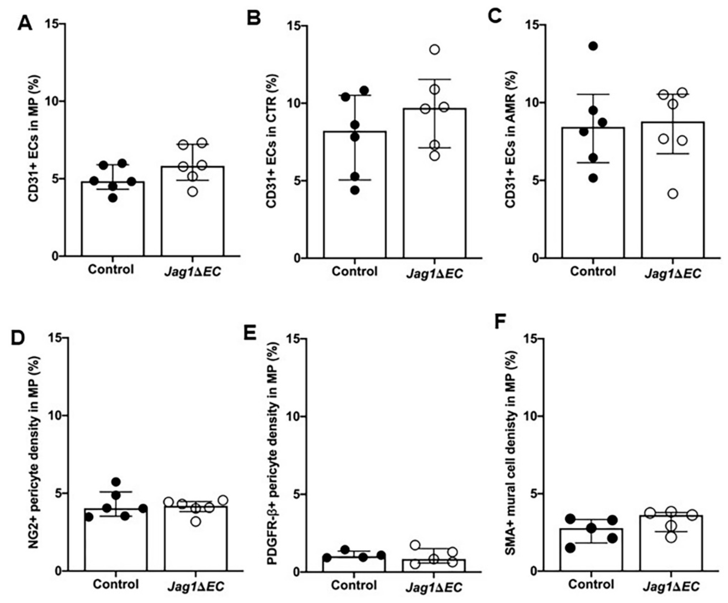 Ijms 21 06477 g009 Ijms 21 06477 g009