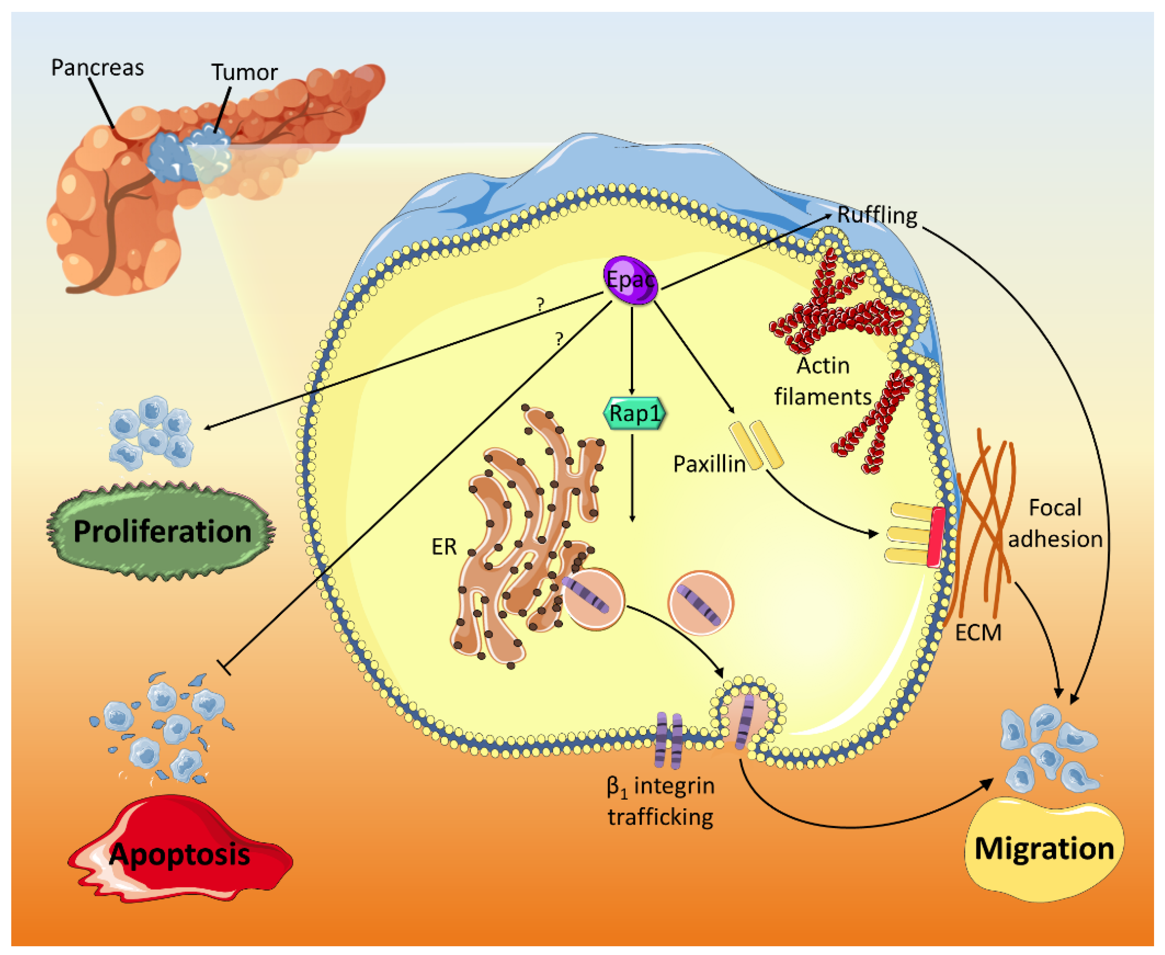 Ijms 21 06489 g006 Ijms 21 06489 g006