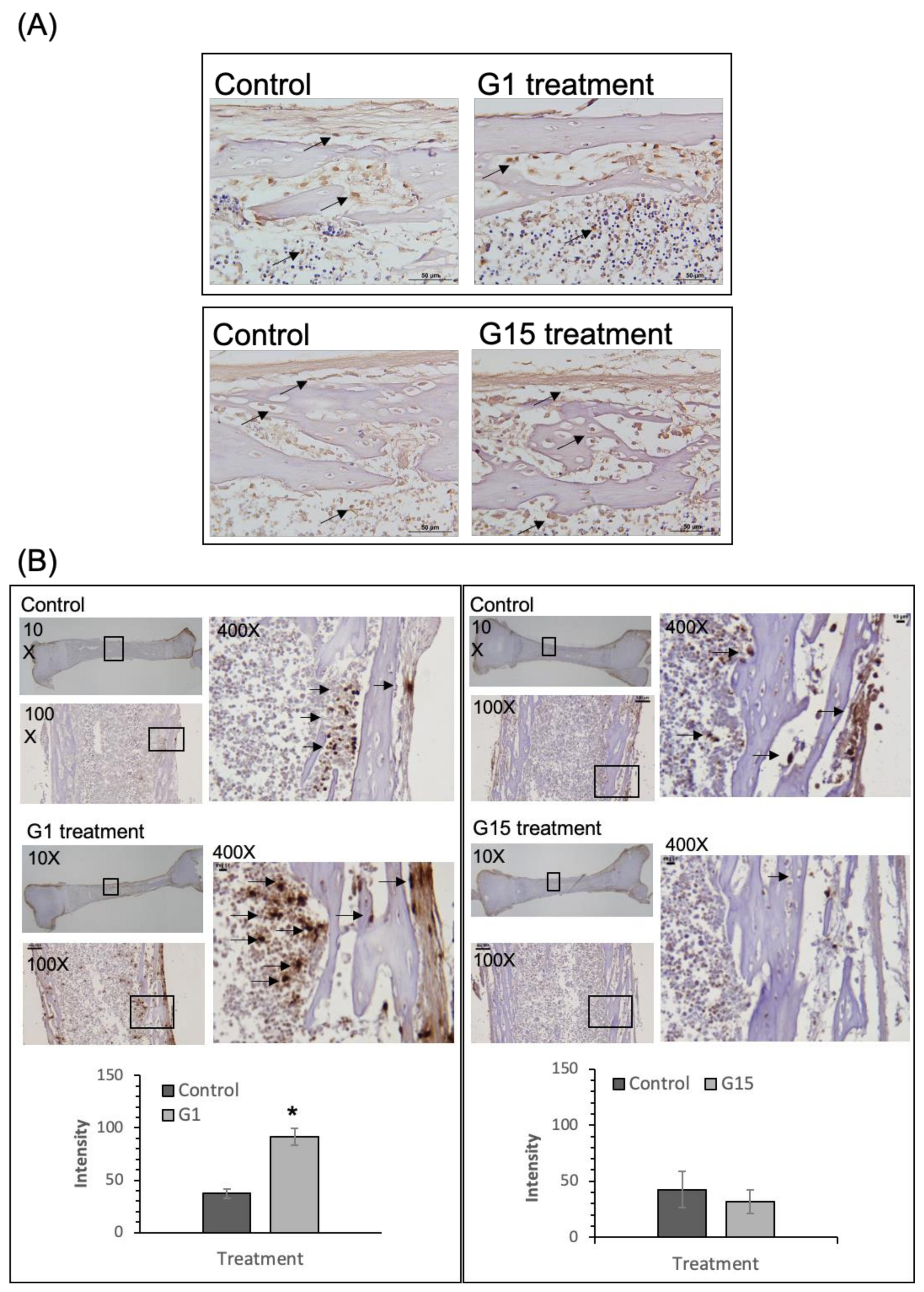 Ijms 21 06490 g001 Ijms 21 06490 g001