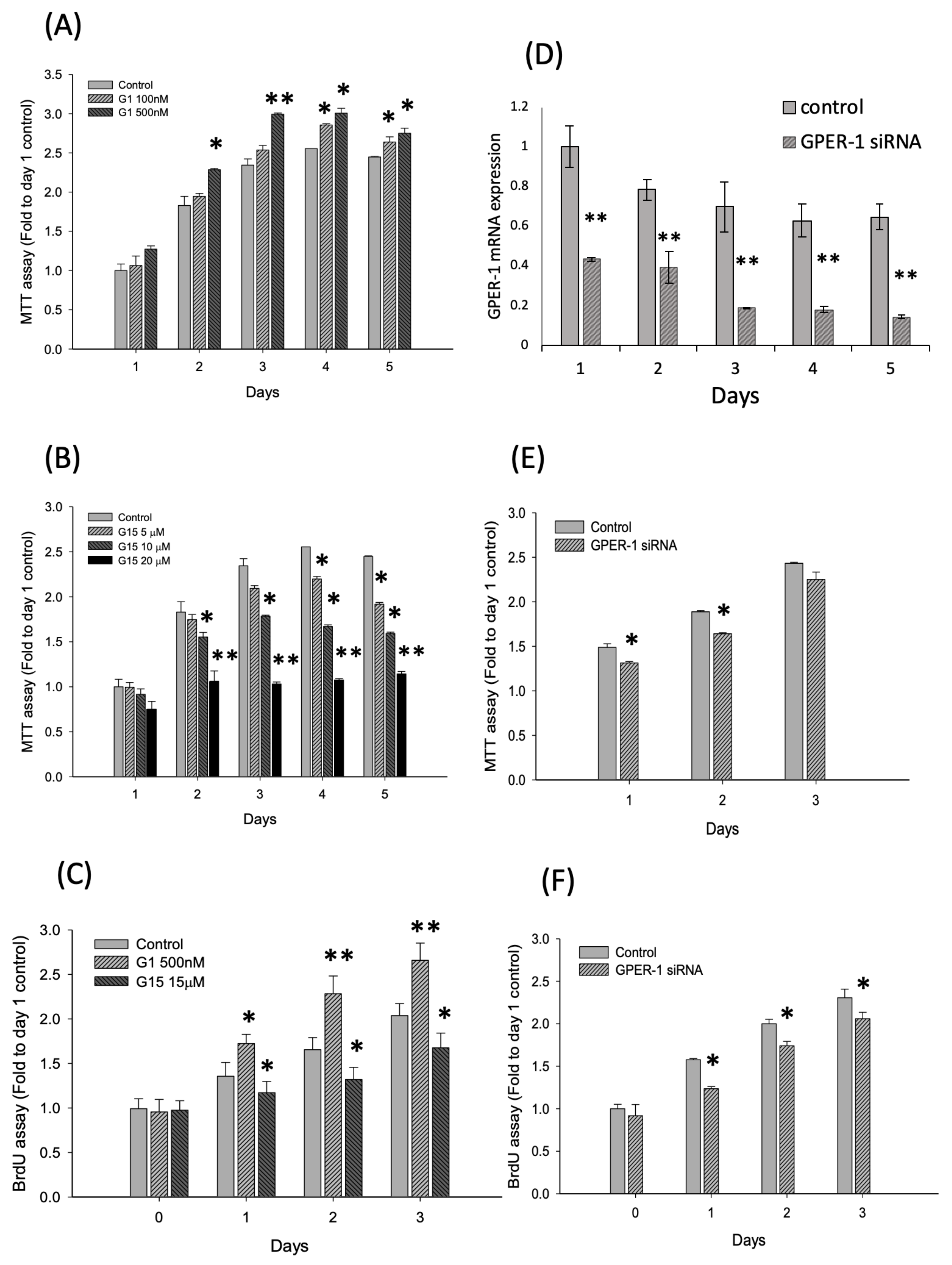 Ijms 21 06490 g002 Ijms 21 06490 g002