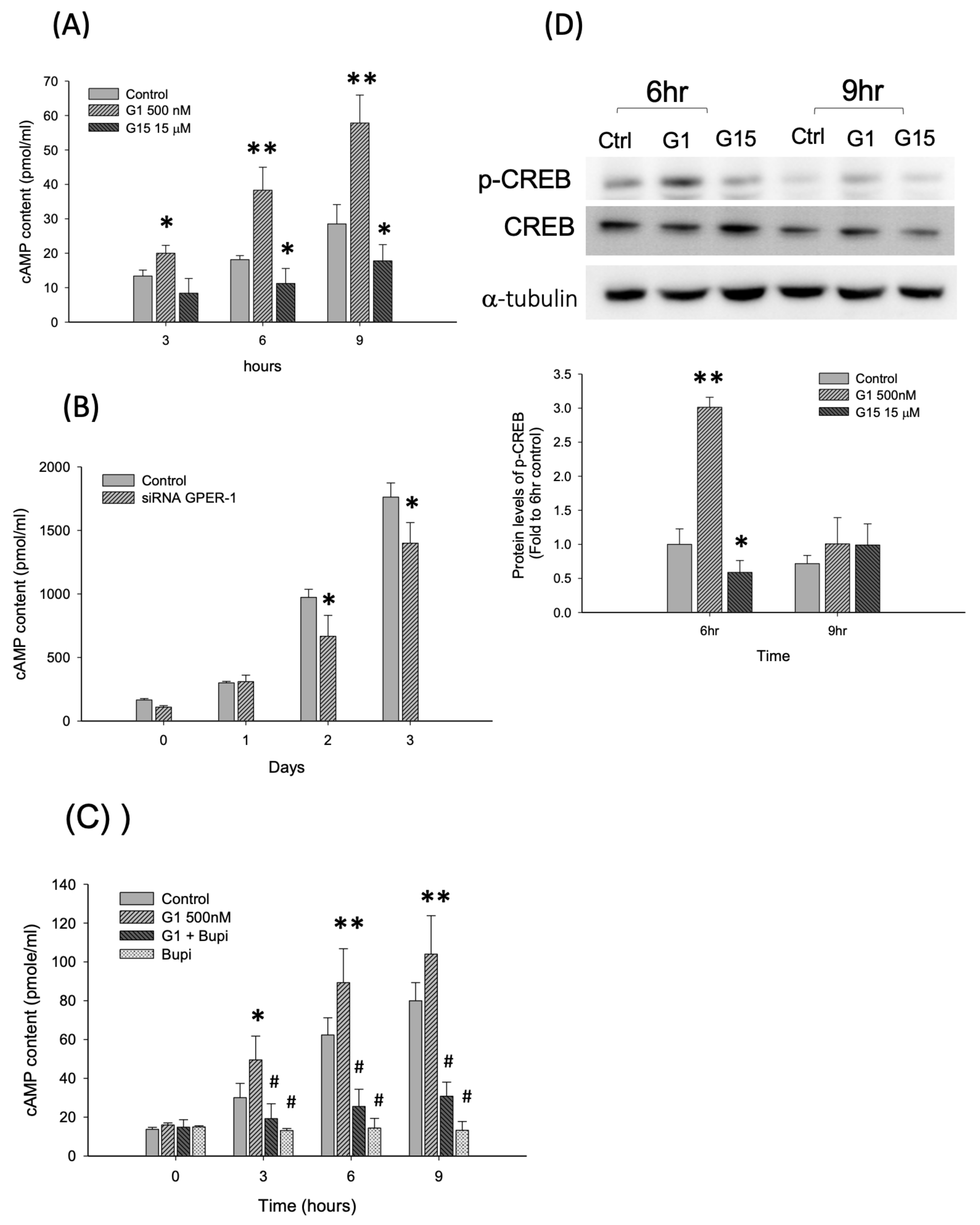 Ijms 21 06490 g003 Ijms 21 06490 g003