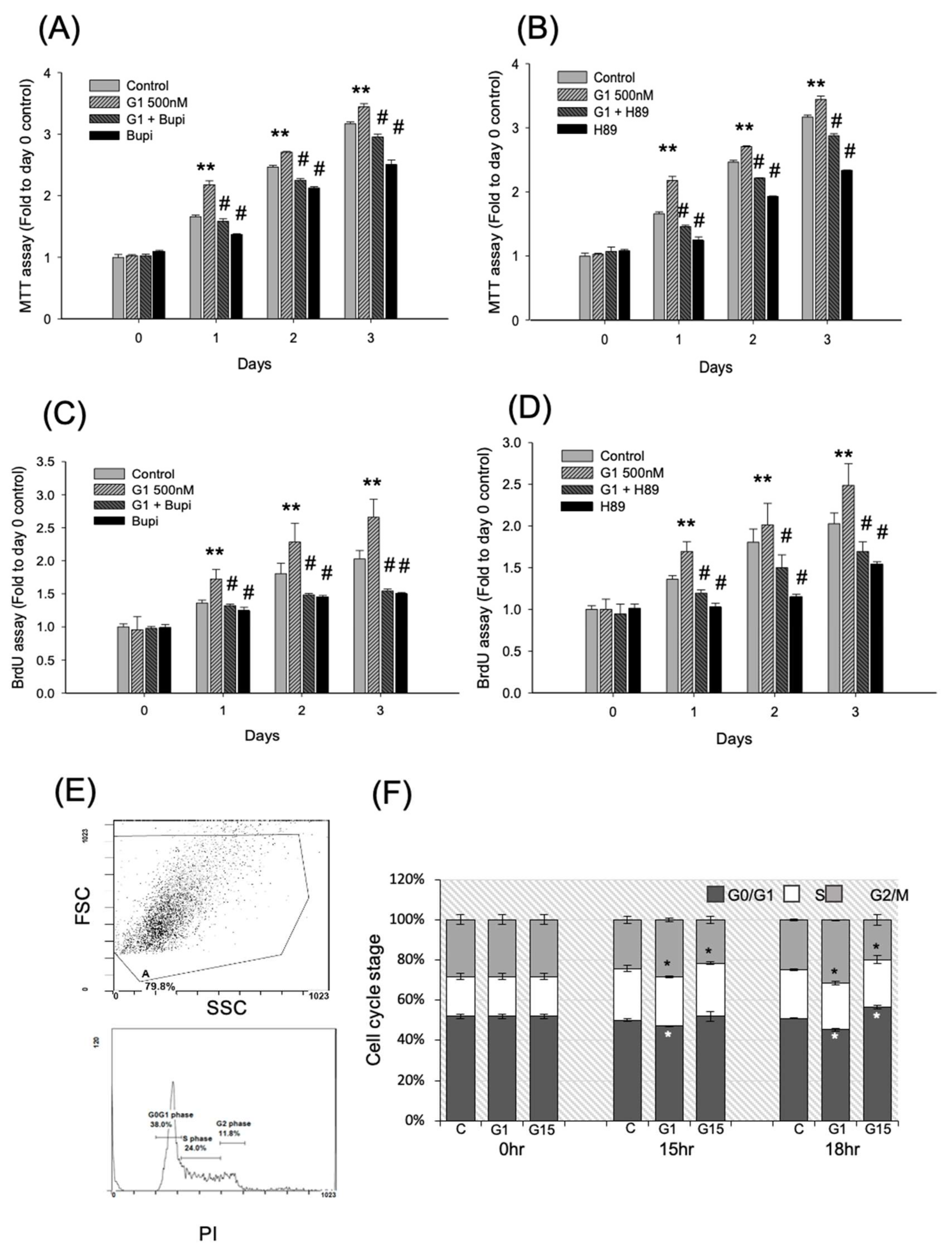 Ijms 21 06490 g004 Ijms 21 06490 g004