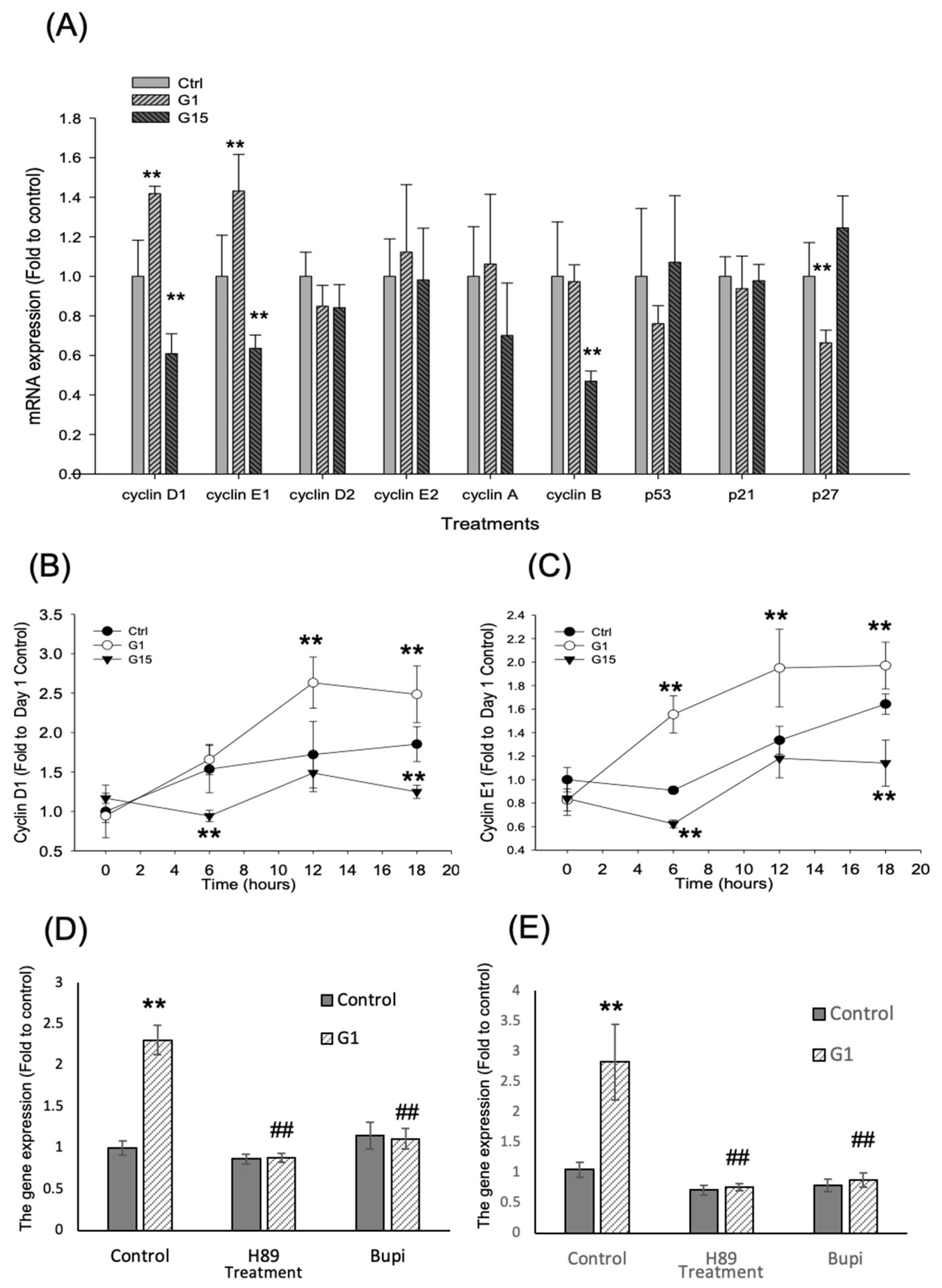 Ijms 21 06490 g005 Ijms 21 06490 g005