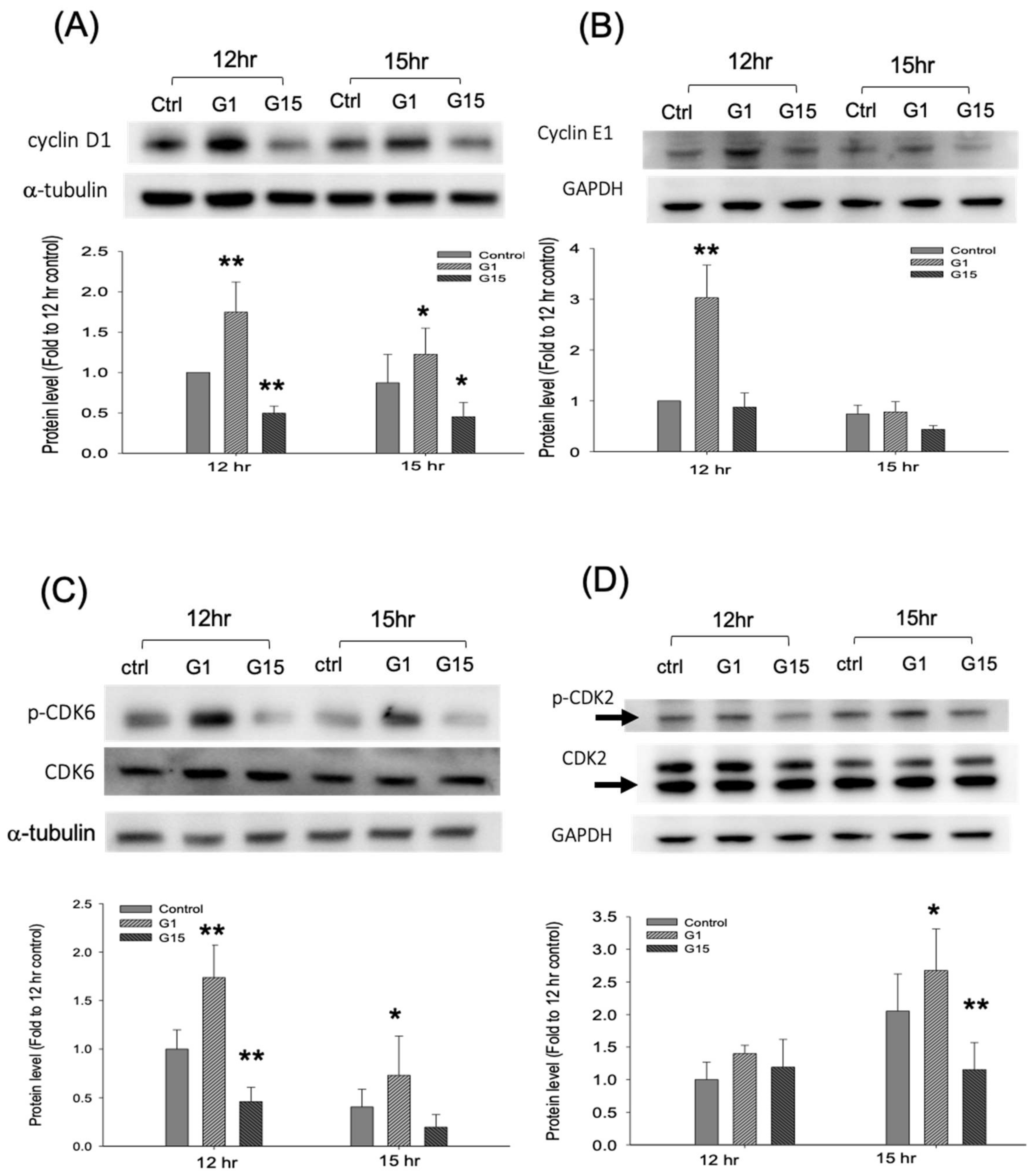 Ijms 21 06490 g006 Ijms 21 06490 g006