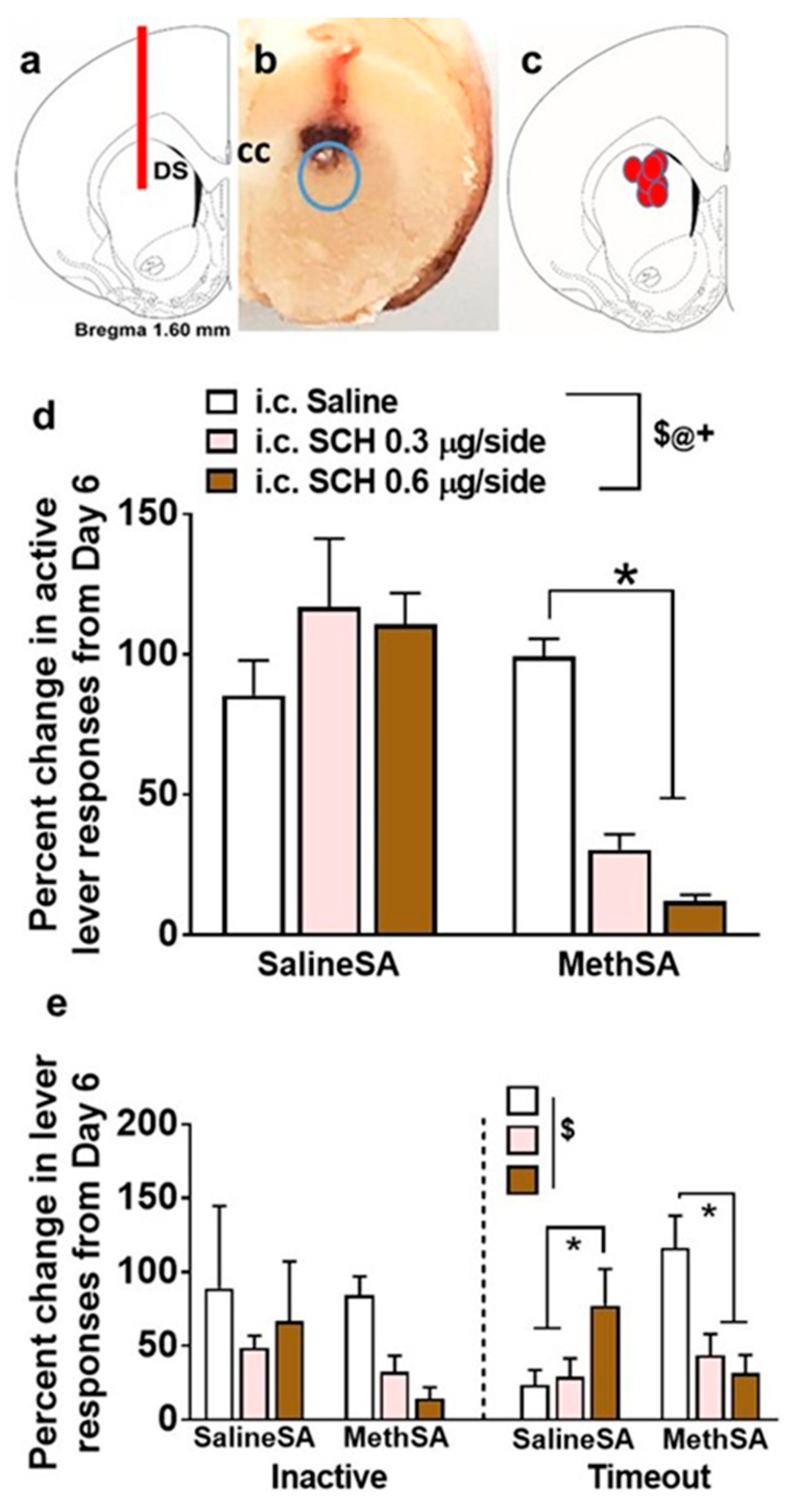 Ijms 21 06491 g003 Ijms 21 06491 g003