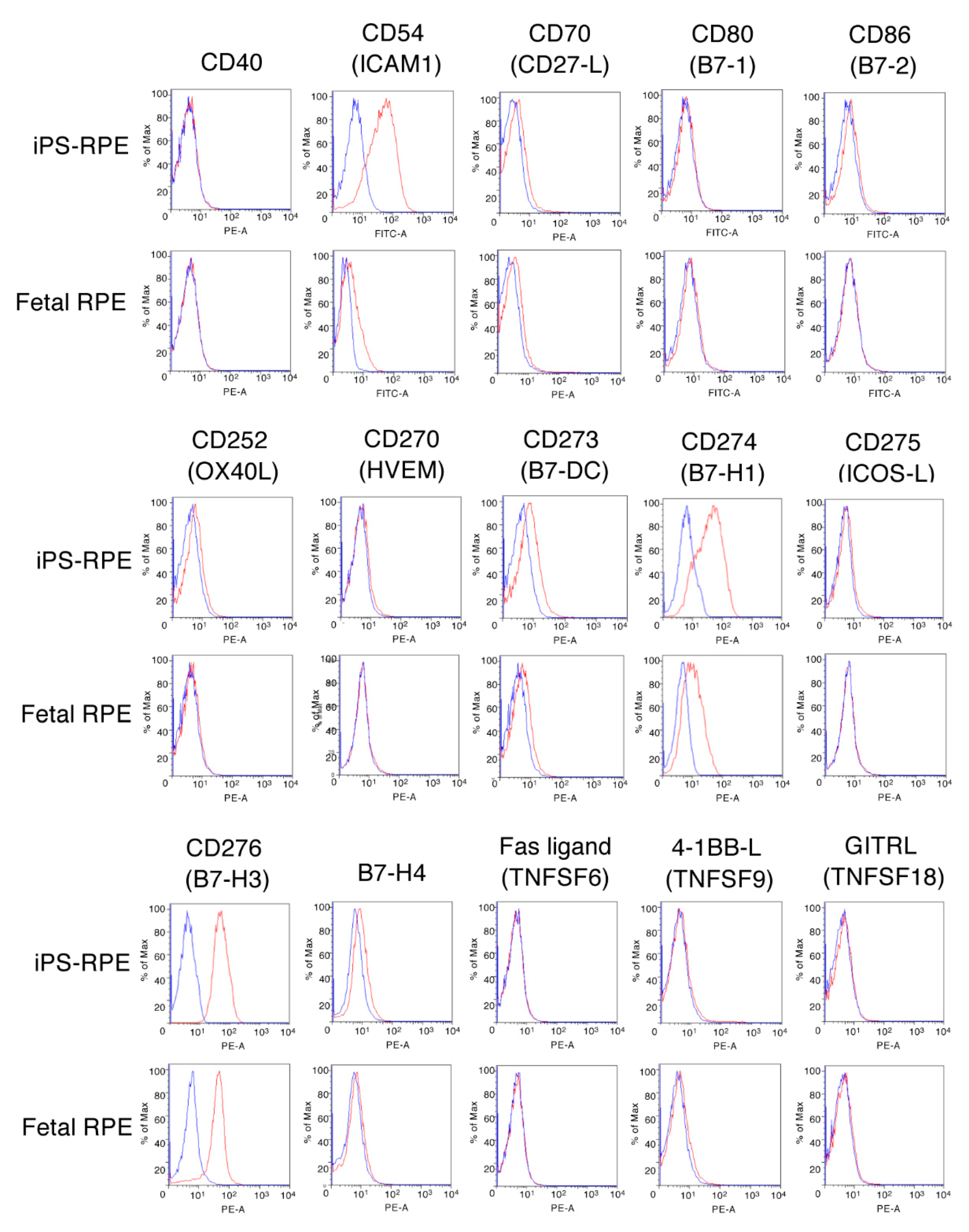 Ijms 21 06507 g002 Ijms 21 06507 g002
