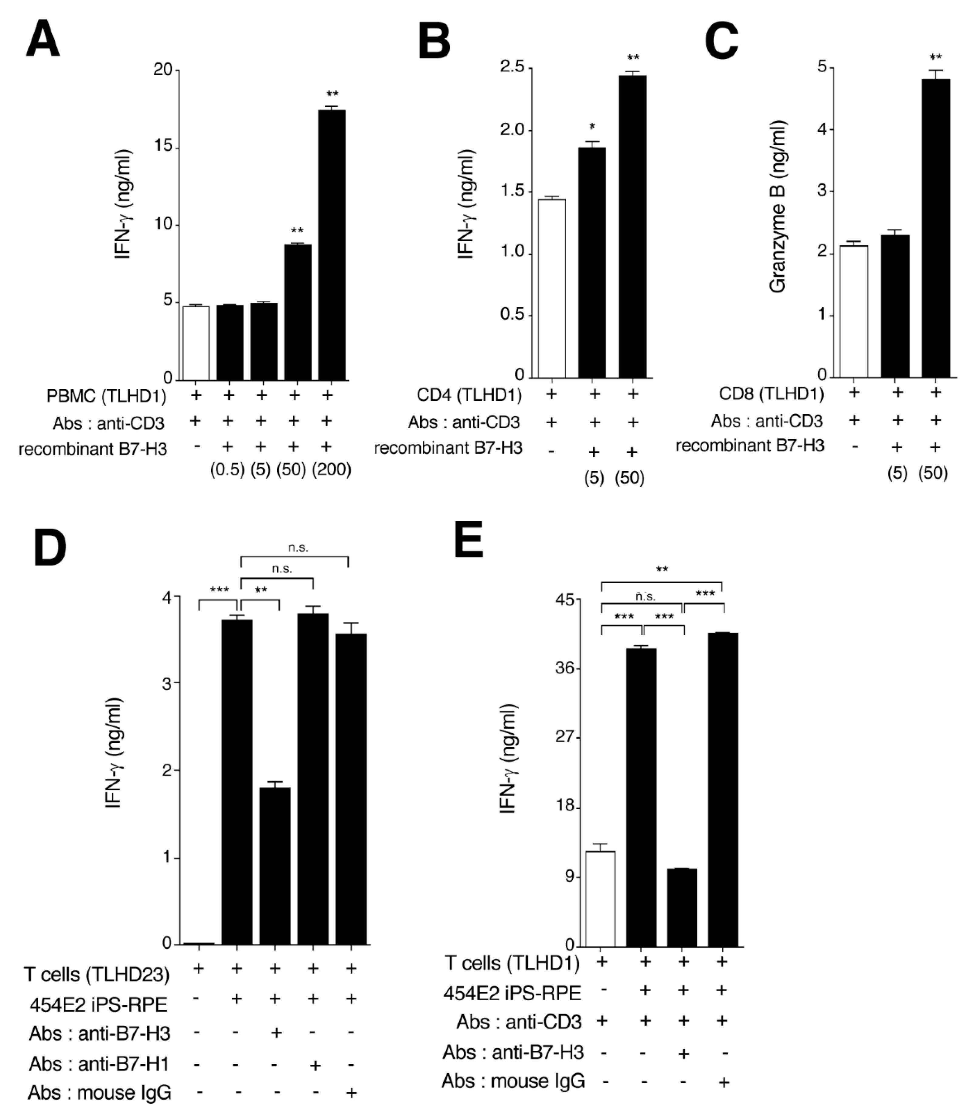 Ijms 21 06507 g007 Ijms 21 06507 g007