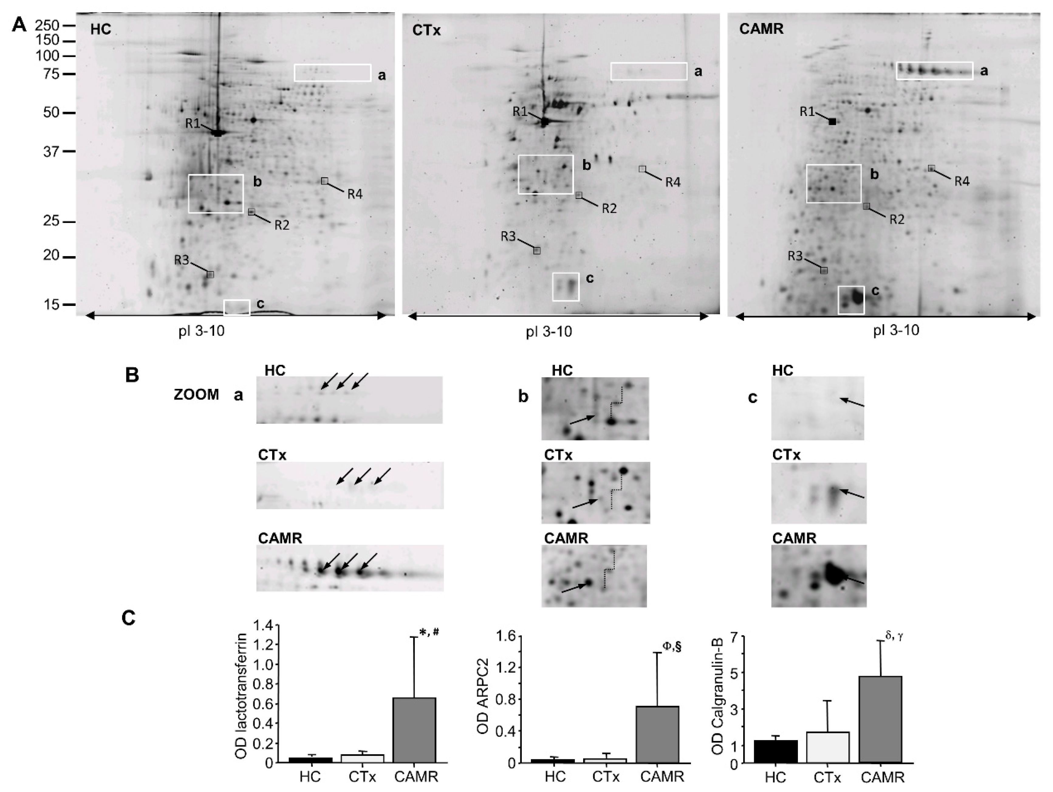Ijms 21 06509 g001 Ijms 21 06509 g001