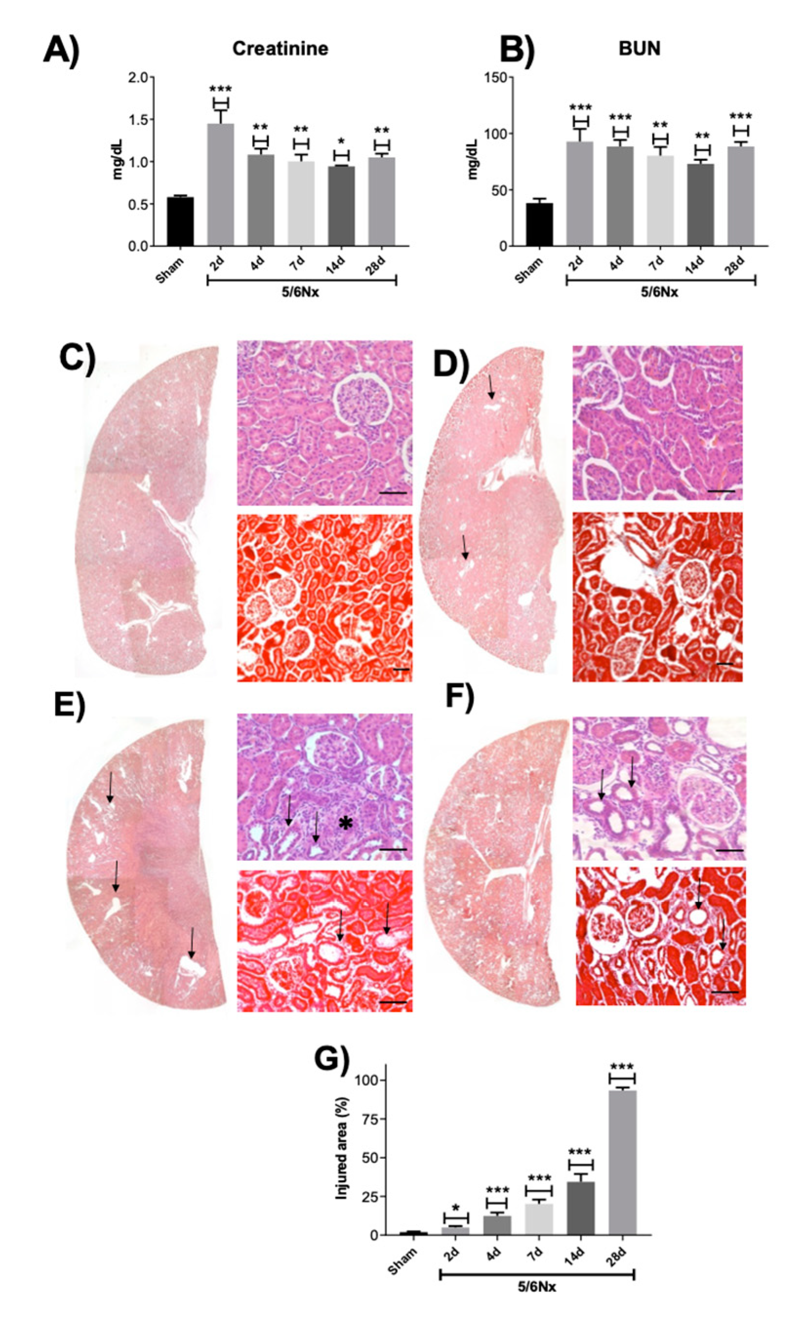 Ijms 21 06512 g001 Ijms 21 06512 g001