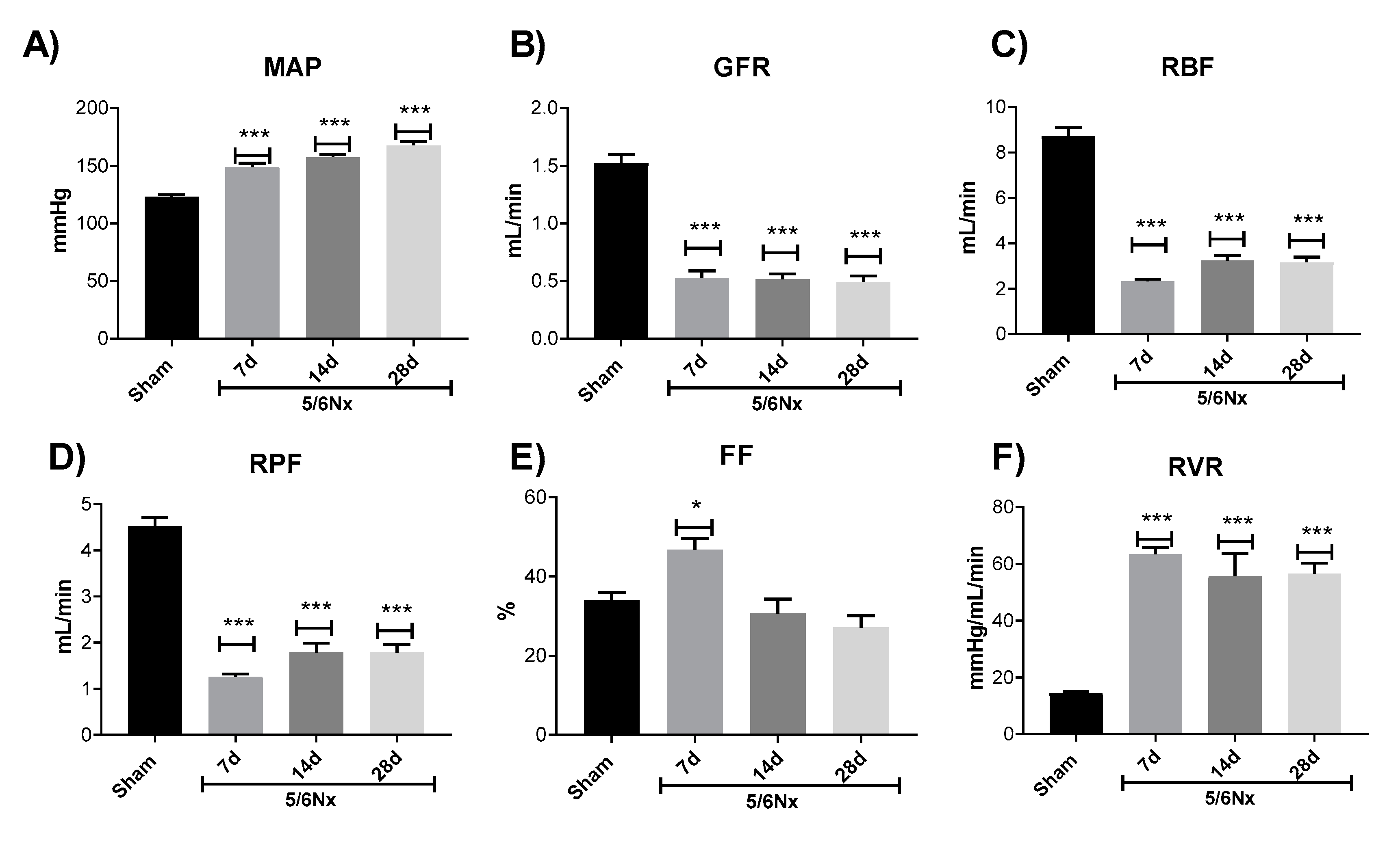 Ijms 21 06512 g002 Ijms 21 06512 g002