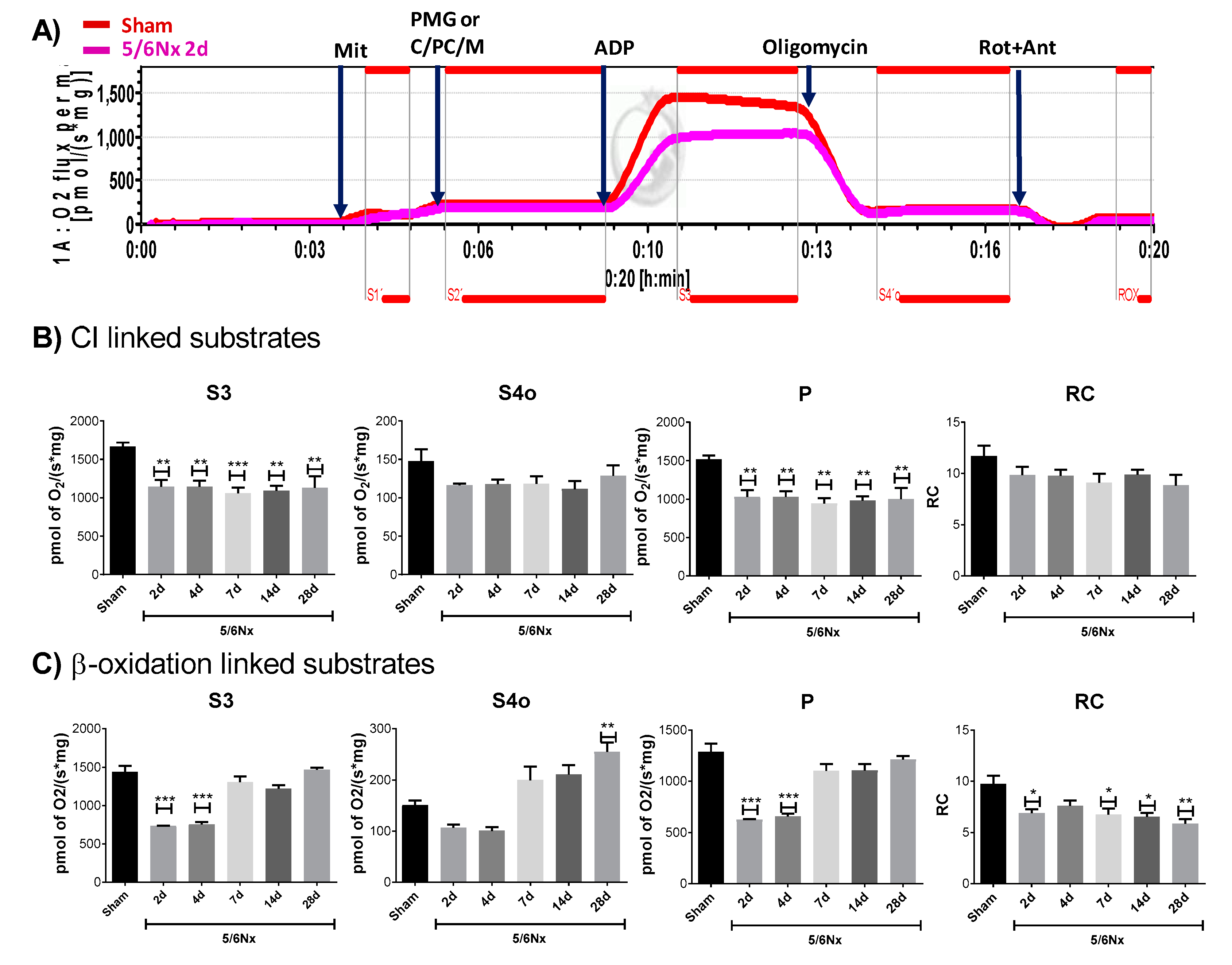 Ijms 21 06512 g003 Ijms 21 06512 g003