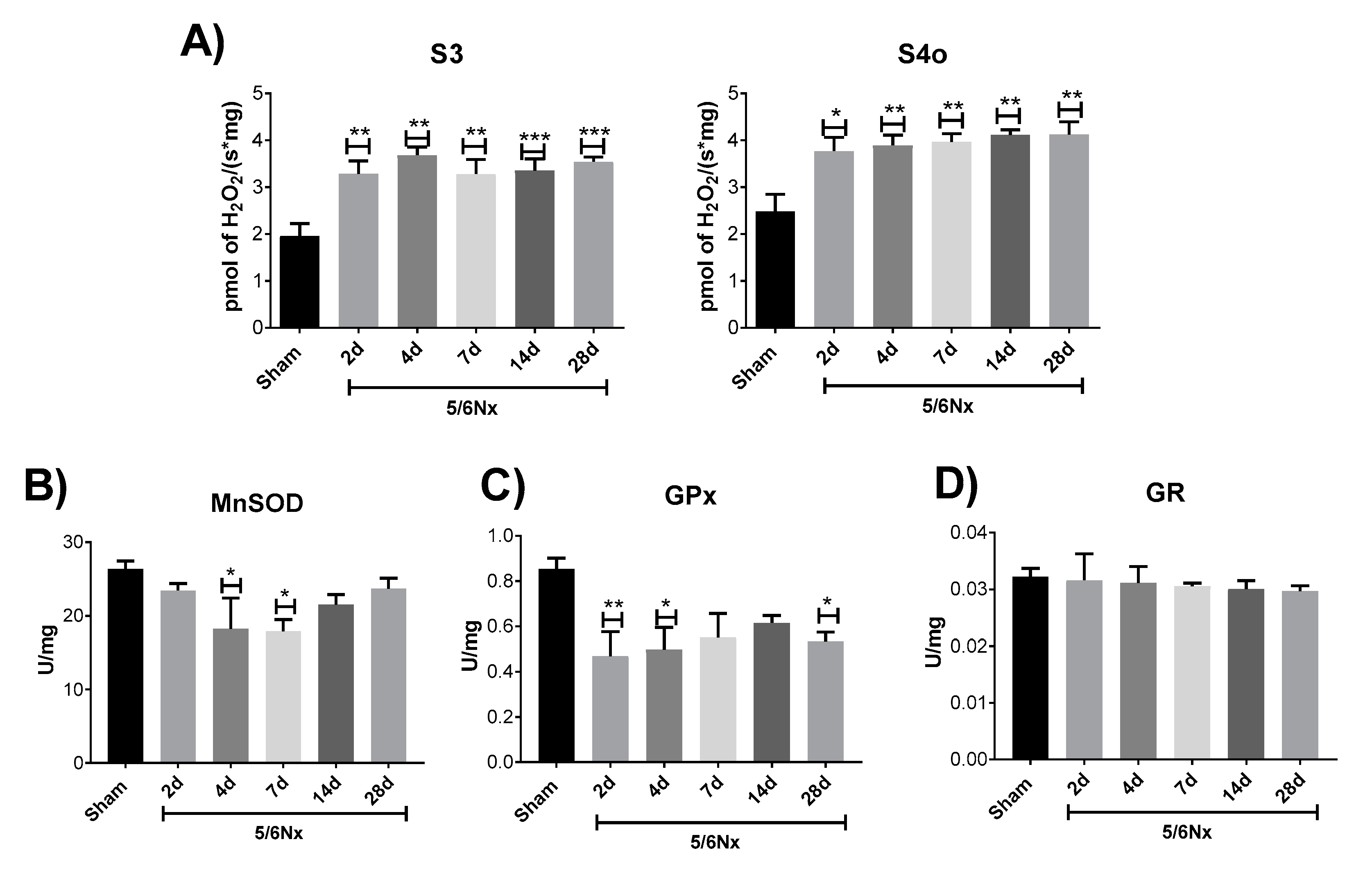 Ijms 21 06512 g006 Ijms 21 06512 g006