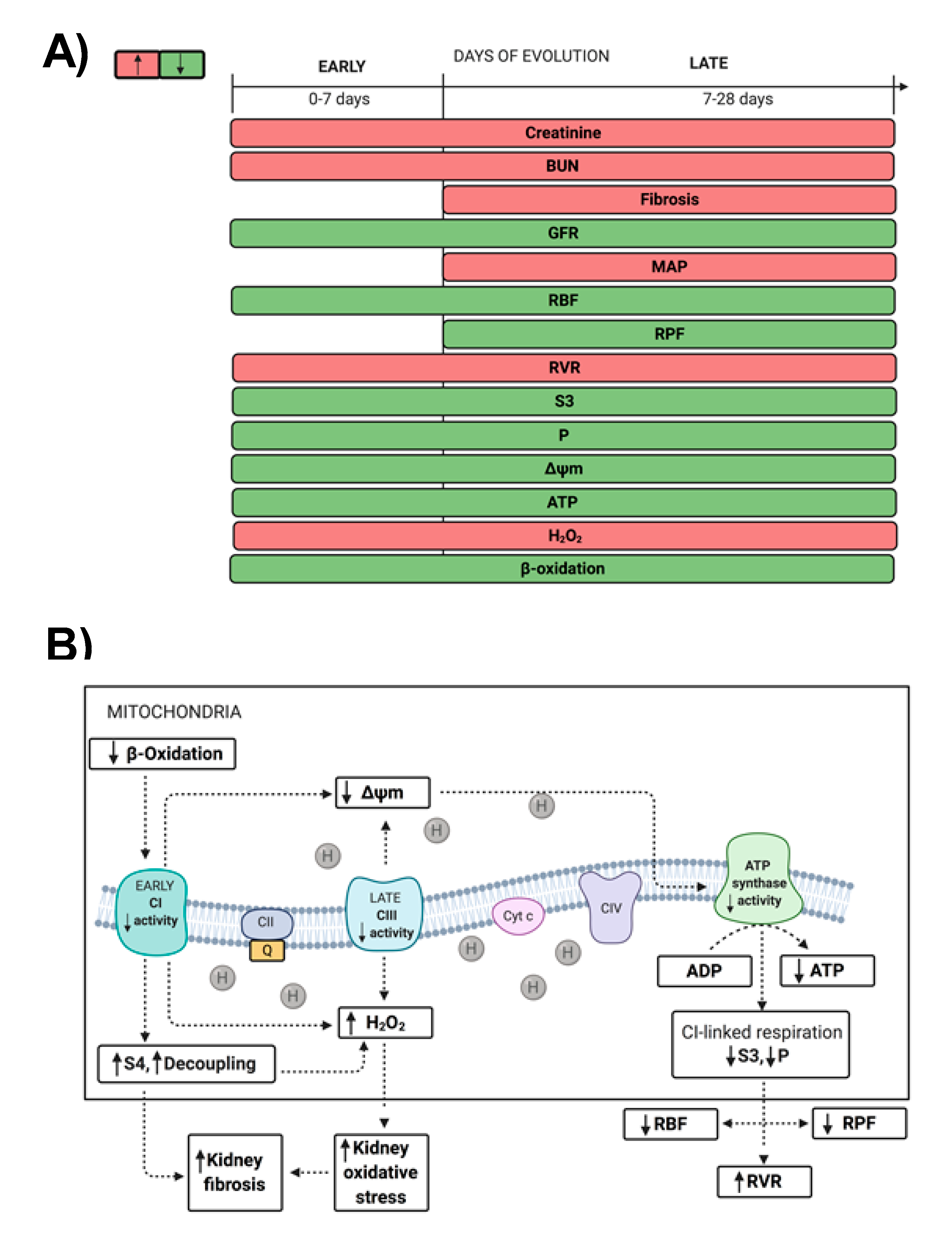 Ijms 21 06512 g008 Ijms 21 06512 g008