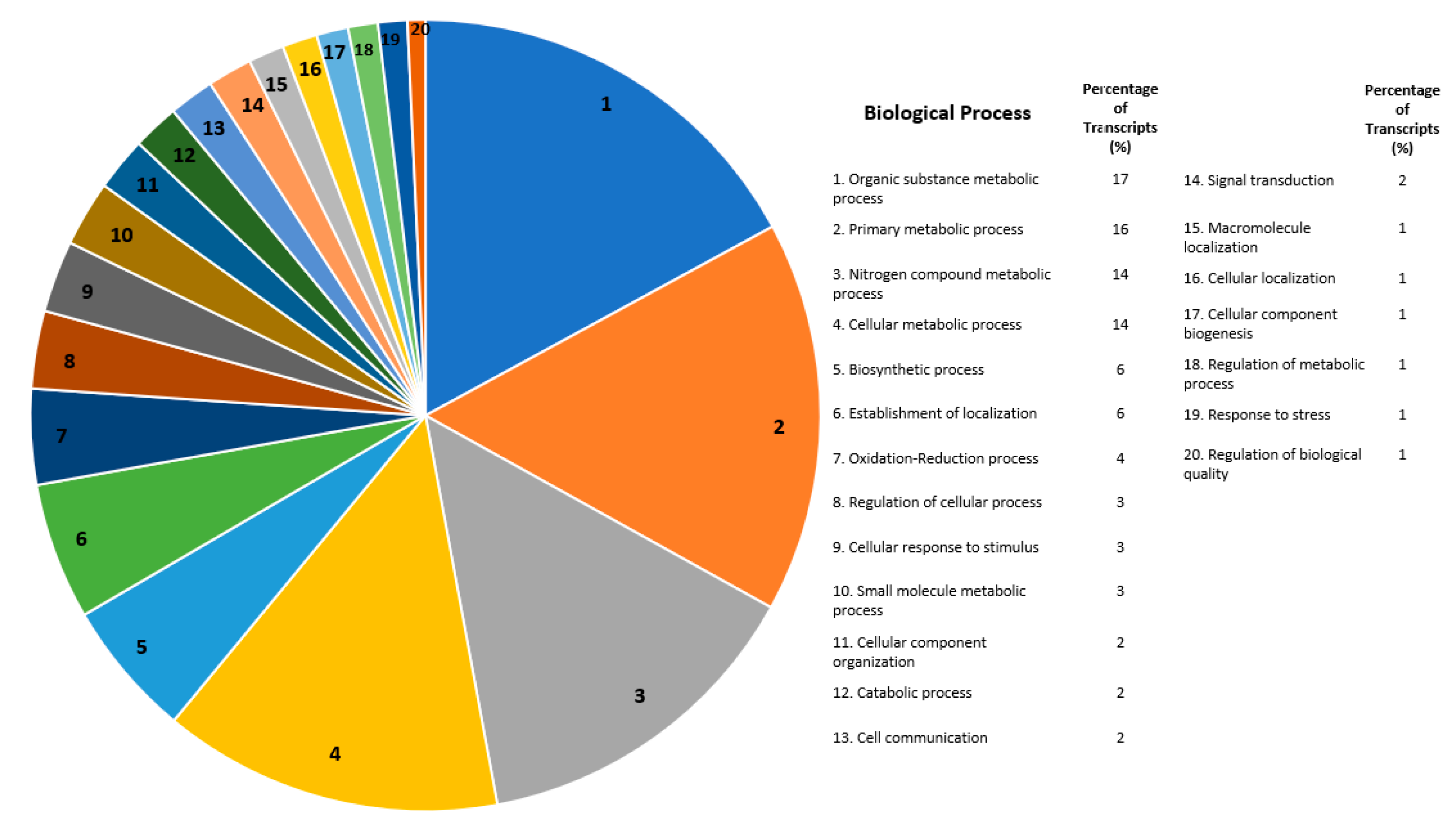 Ijms 21 06528 g003 Ijms 21 06528 g003