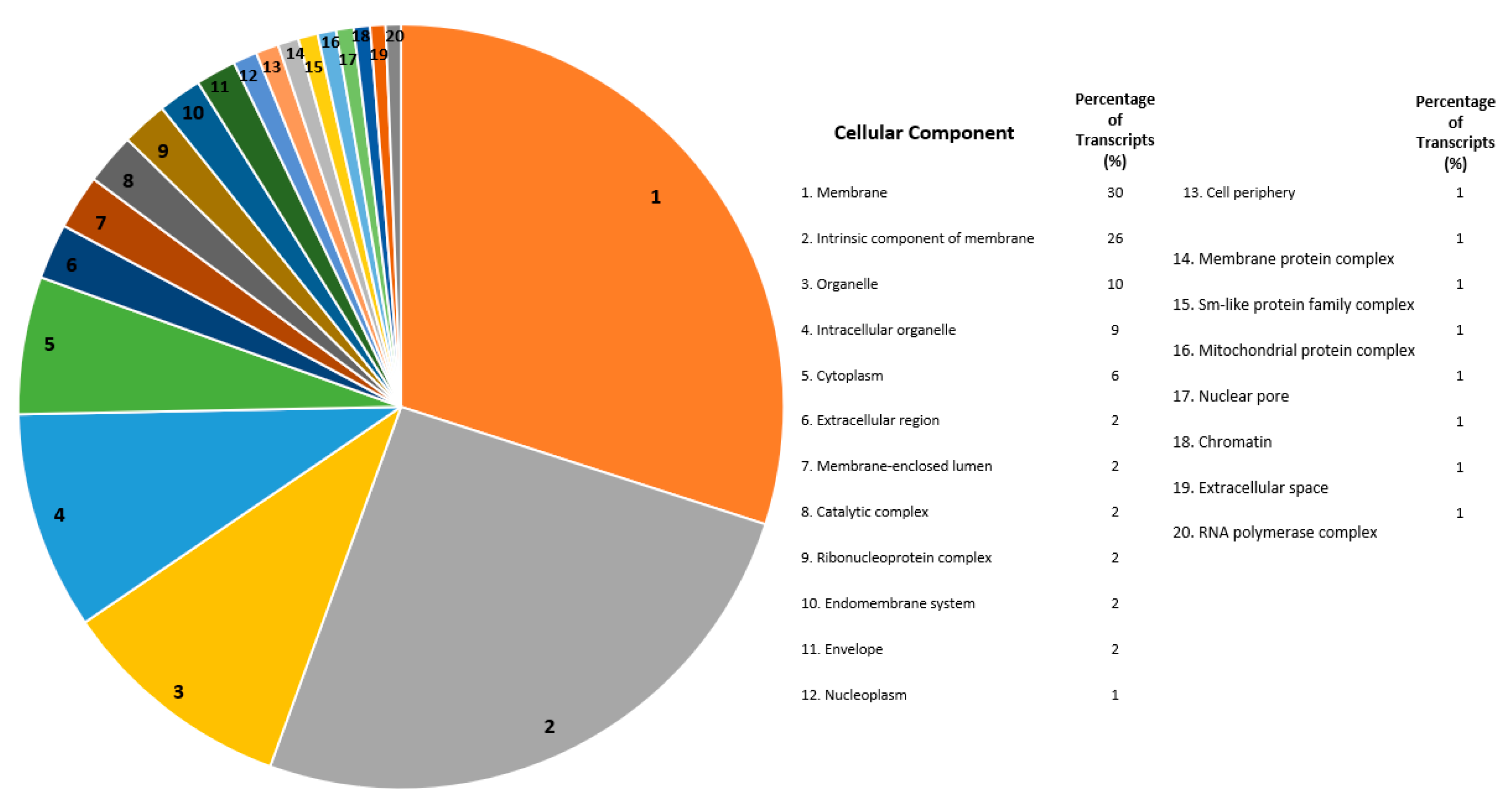 Ijms 21 06528 g005 Ijms 21 06528 g005