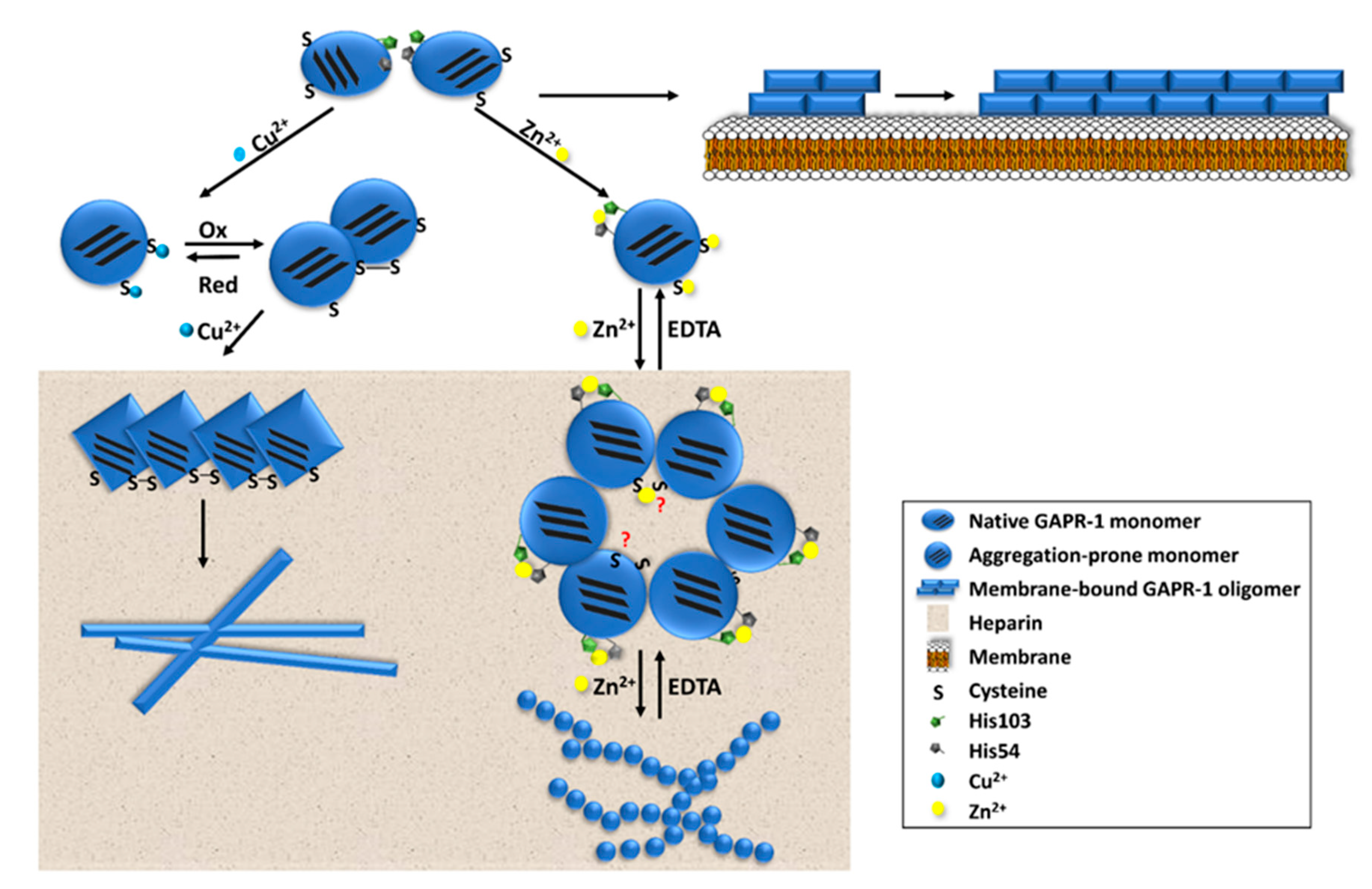 Ijms 21 06530 g002 Ijms 21 06530 g002