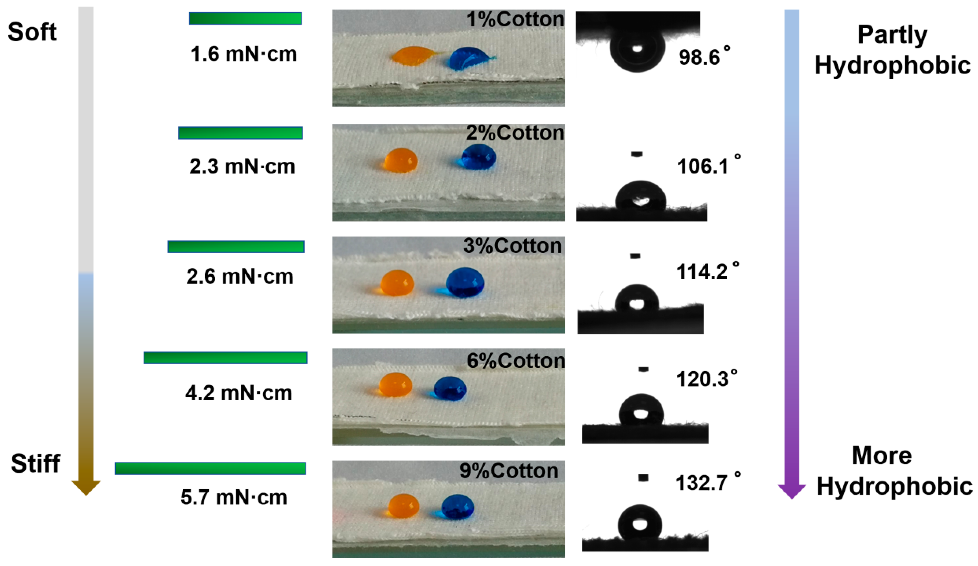 Ijms 21 06531 g002 Ijms 21 06531 g002