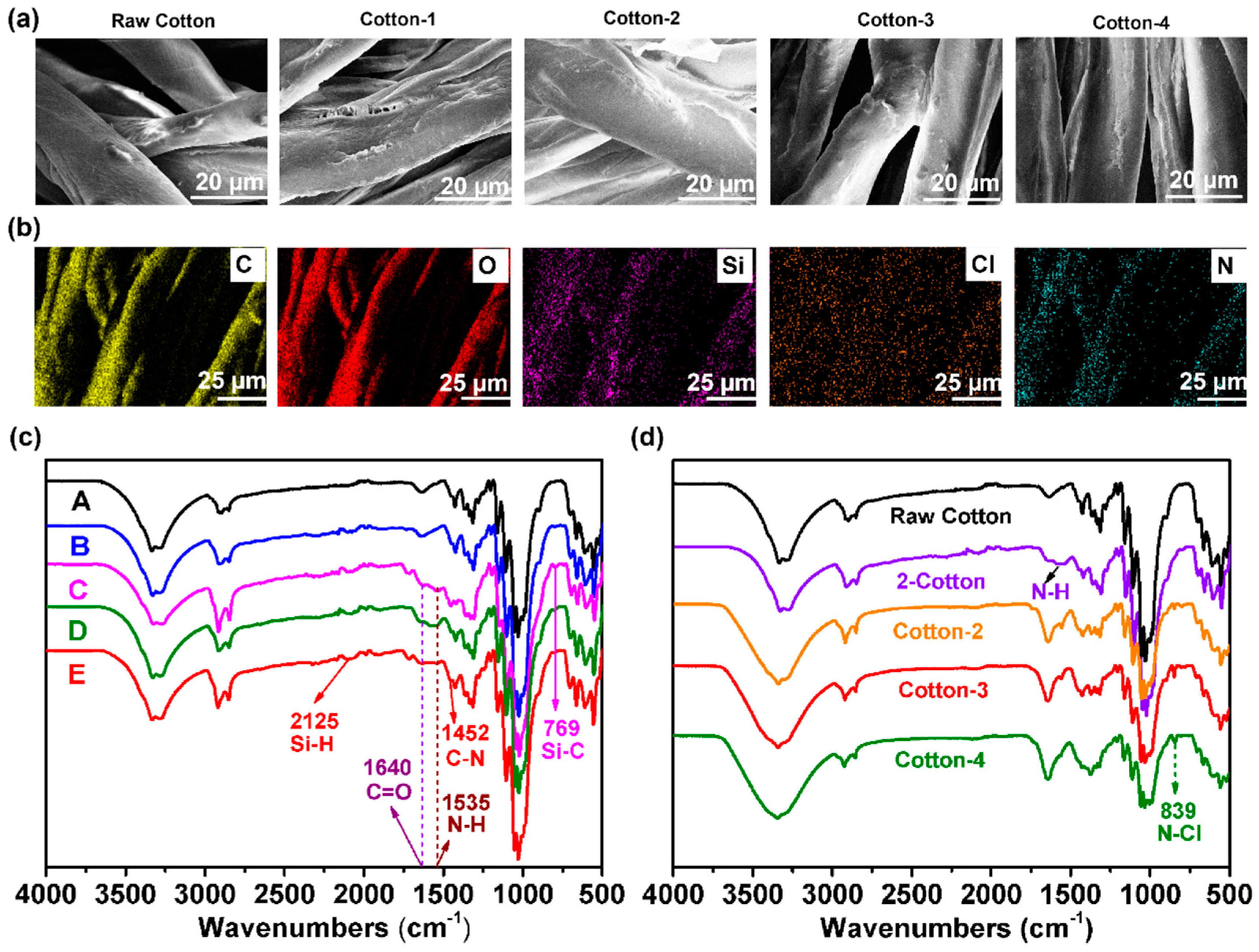 Ijms 21 06531 g003 Ijms 21 06531 g003