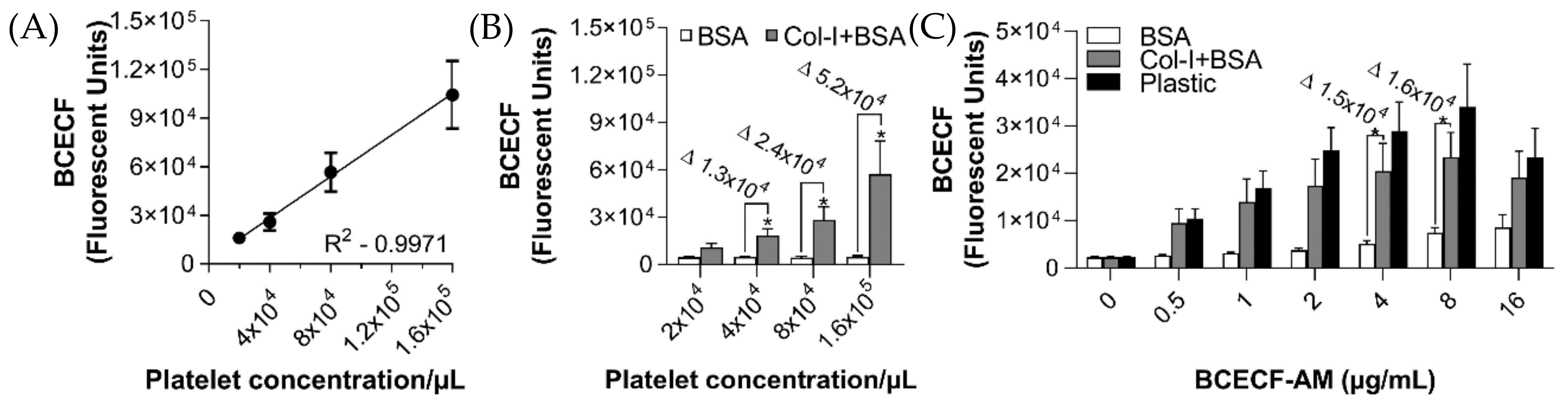 Ijms 21 06539 g001 Ijms 21 06539 g001
