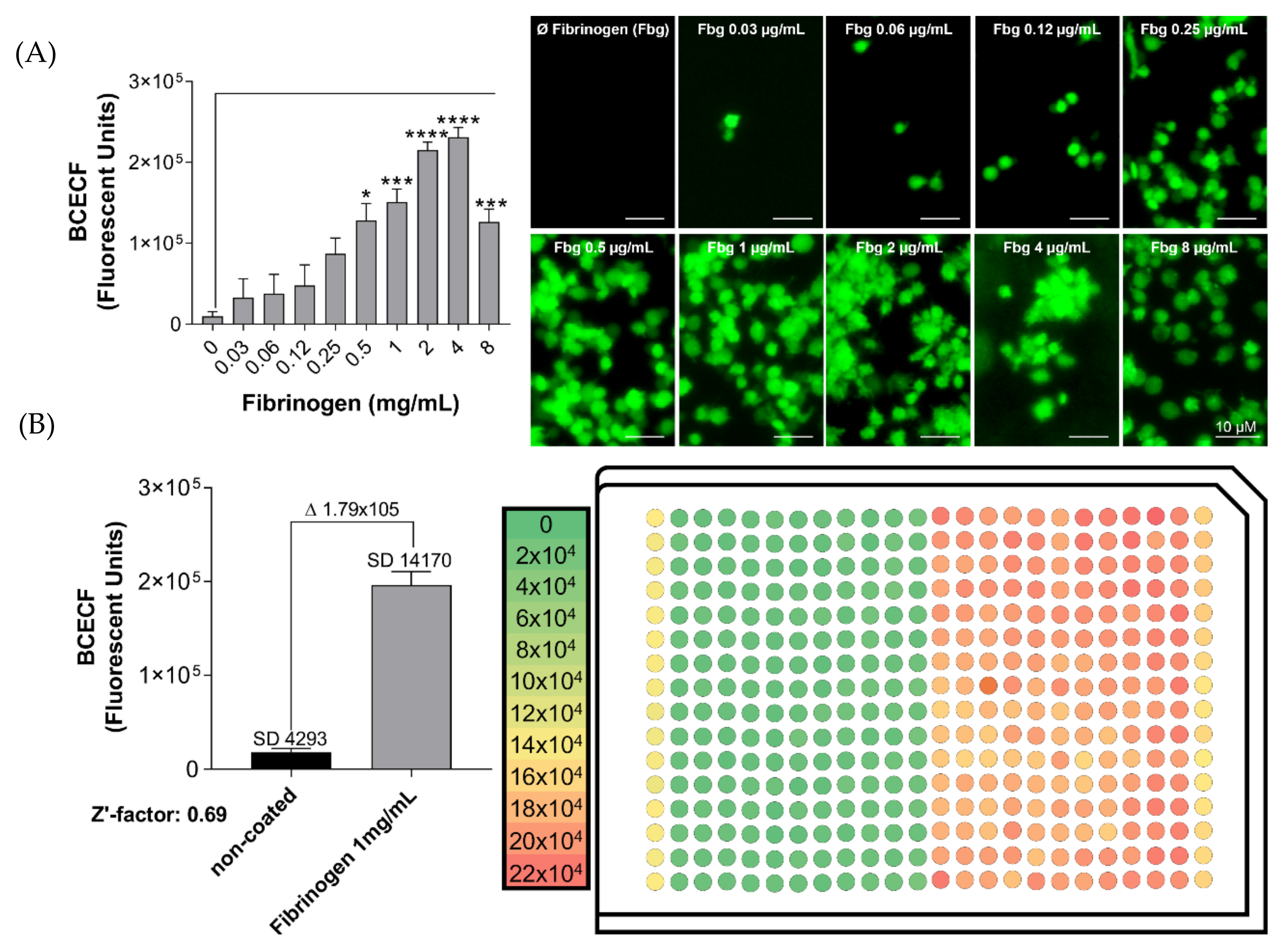 Ijms 21 06539 g006 Ijms 21 06539 g006