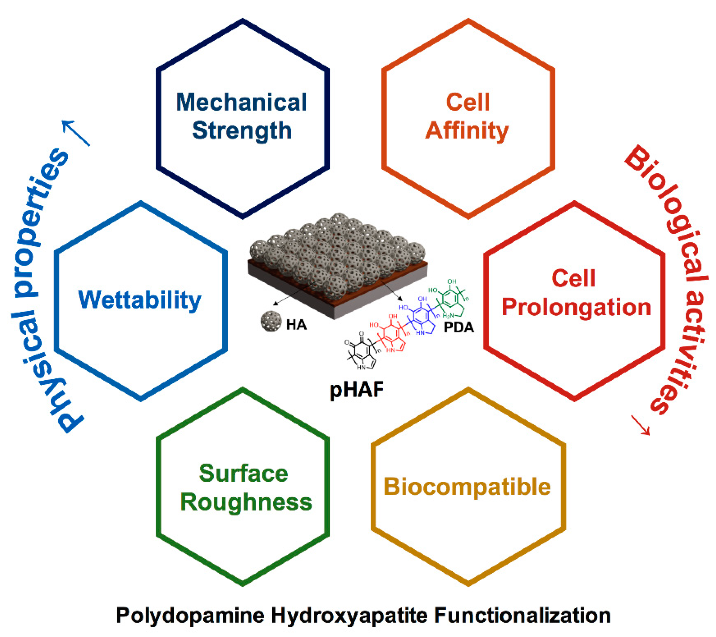 Ijms 21 06544 g001 Ijms 21 06544 g001