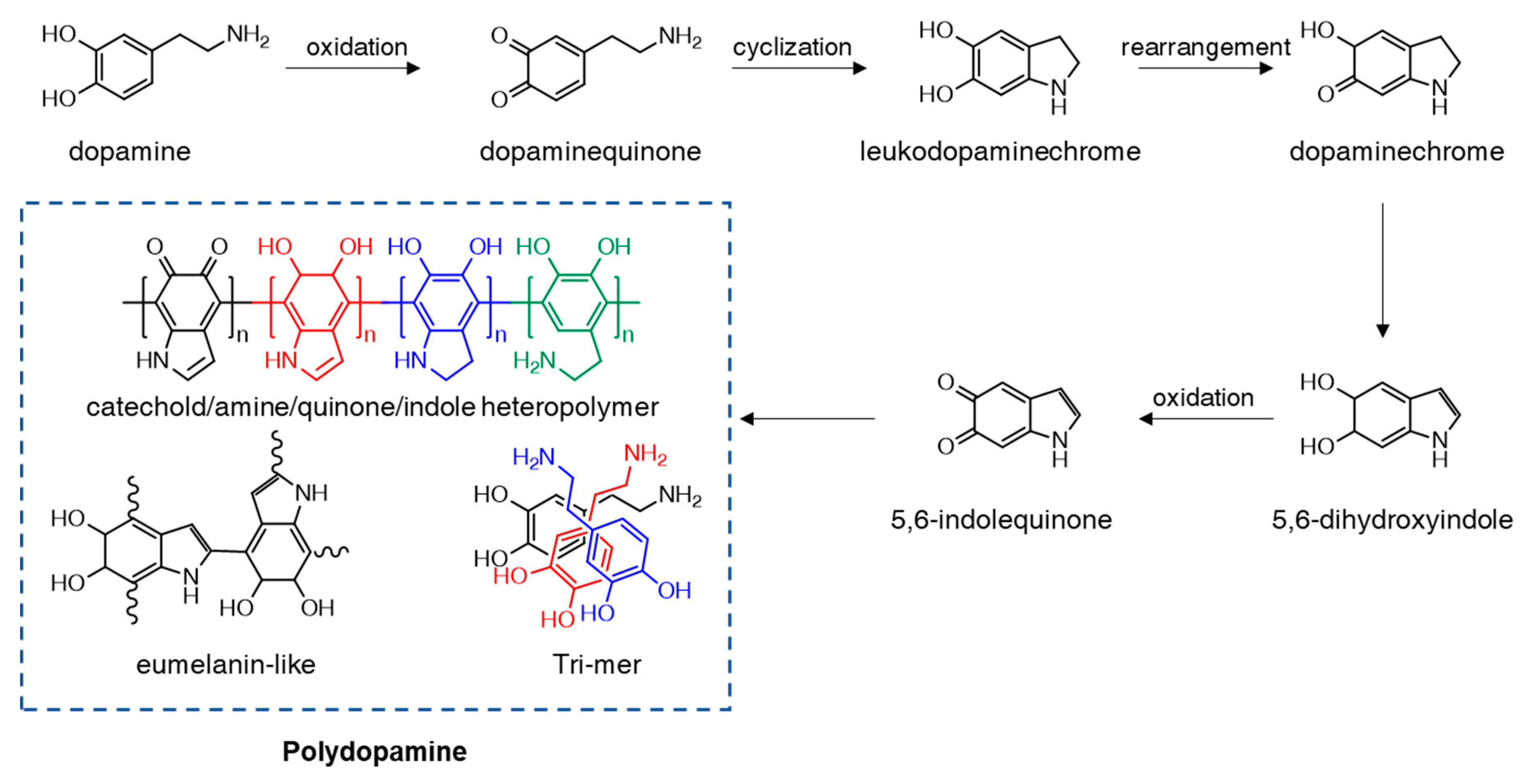 Ijms 21 06544 g002 Ijms 21 06544 g002