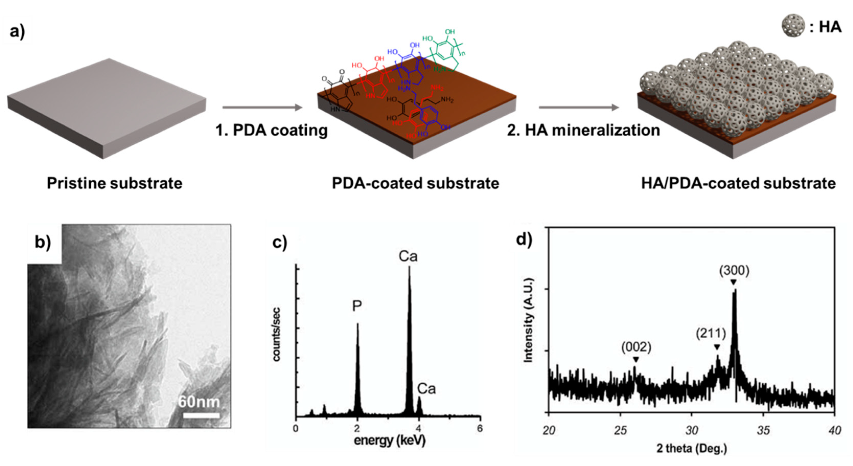 Ijms 21 06544 g003 Ijms 21 06544 g003