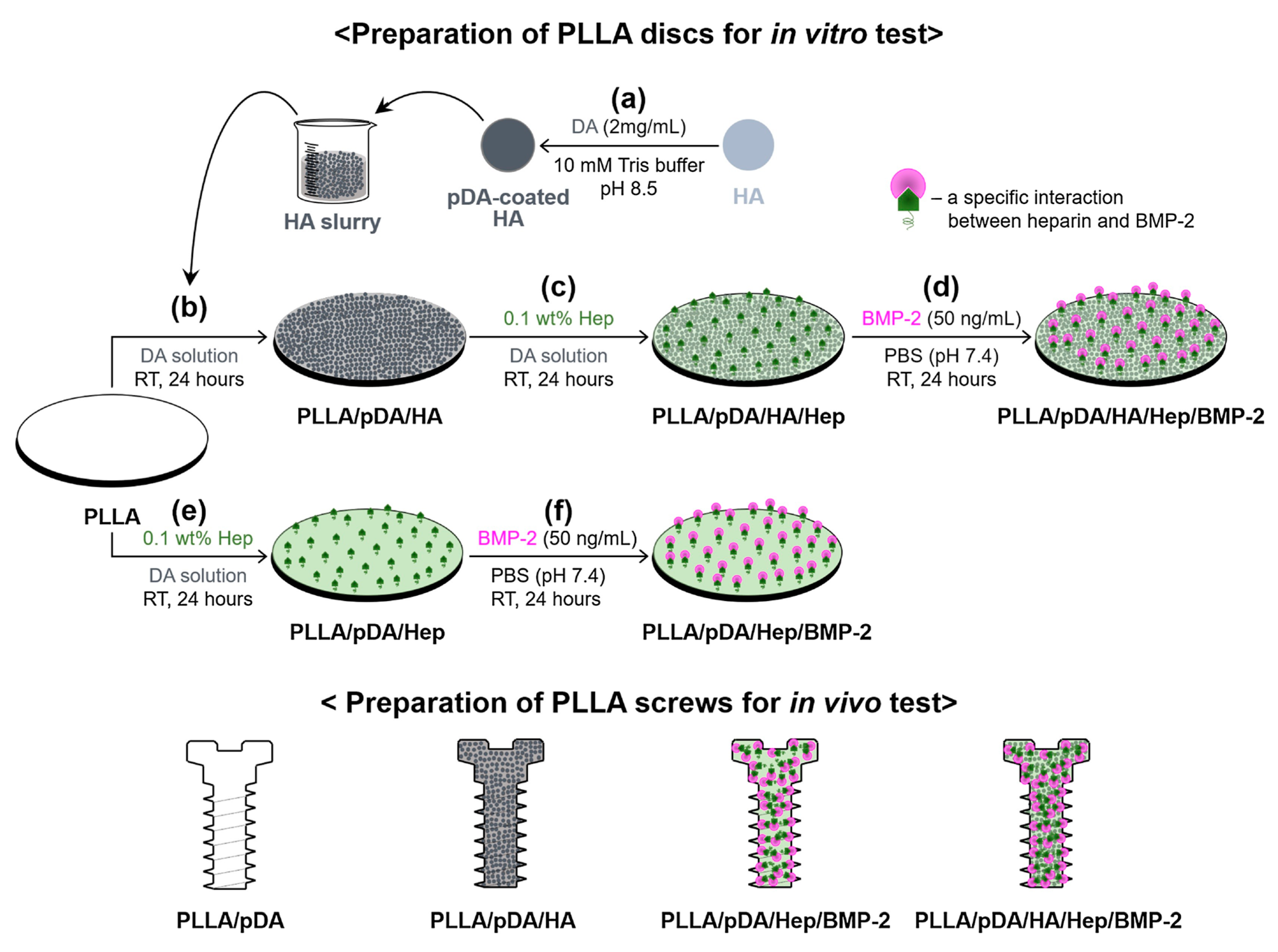 Ijms 21 06544 g006 Ijms 21 06544 g006