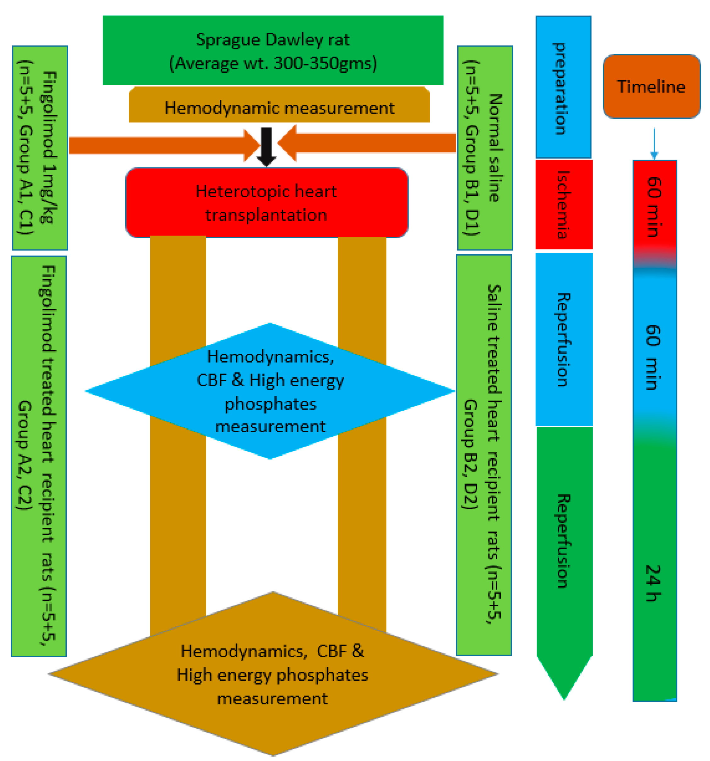Ijms 21 06548 g007 Ijms 21 06548 g007