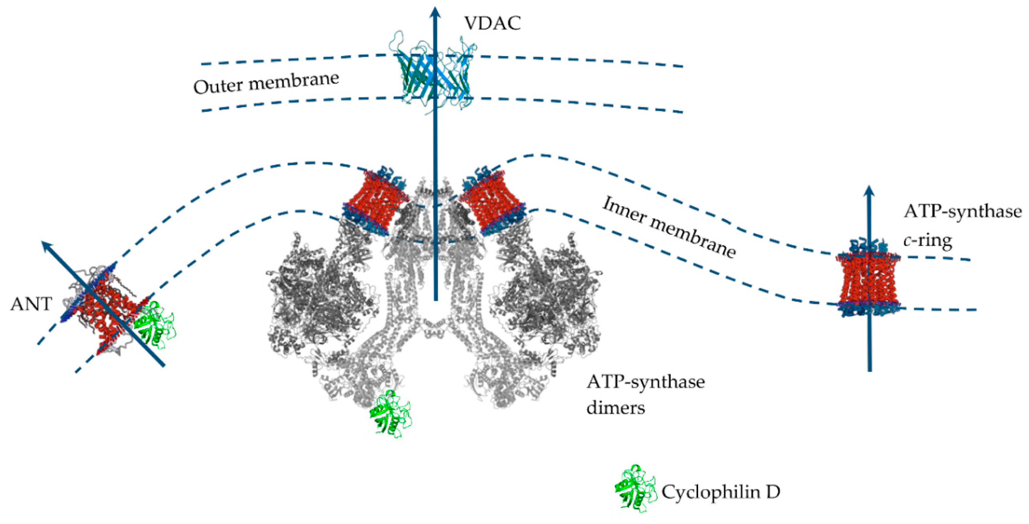 Ijms 21 06559 g003 Ijms 21 06559 g003