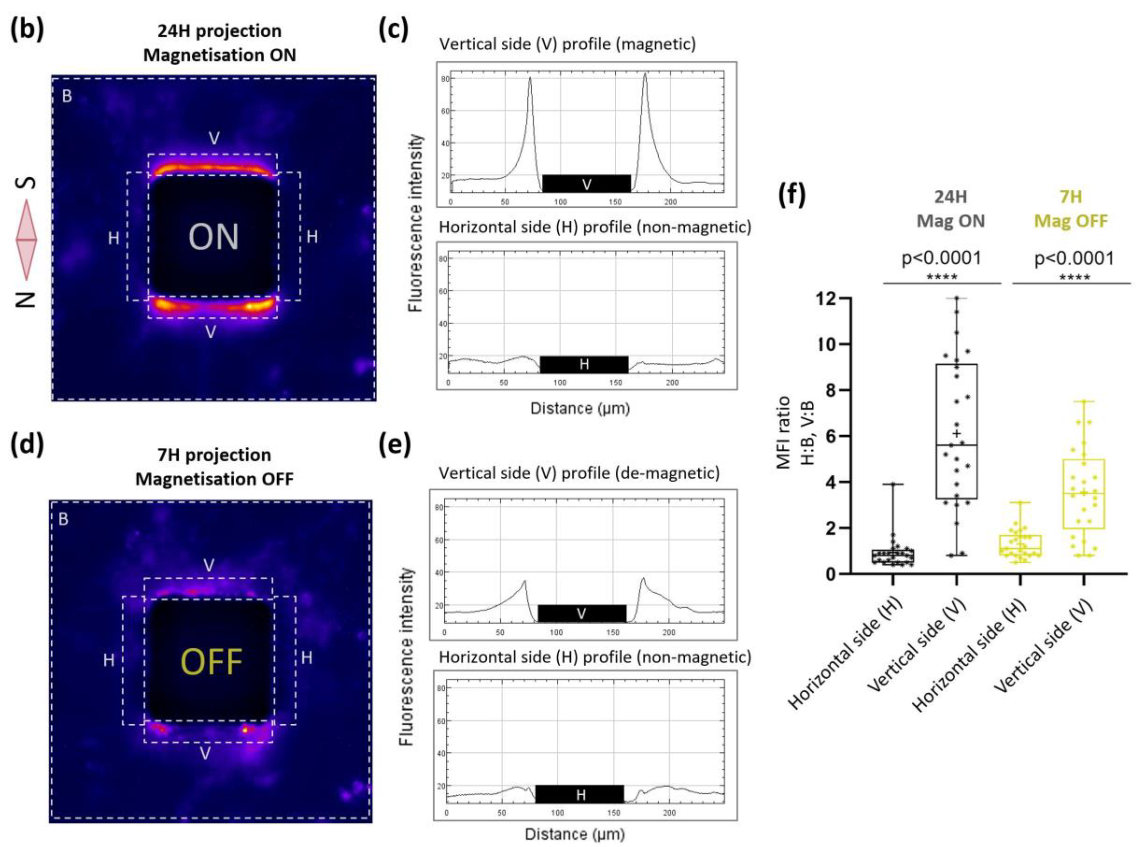 Ijms 21 06560 g003b Ijms 21 06560 g003b