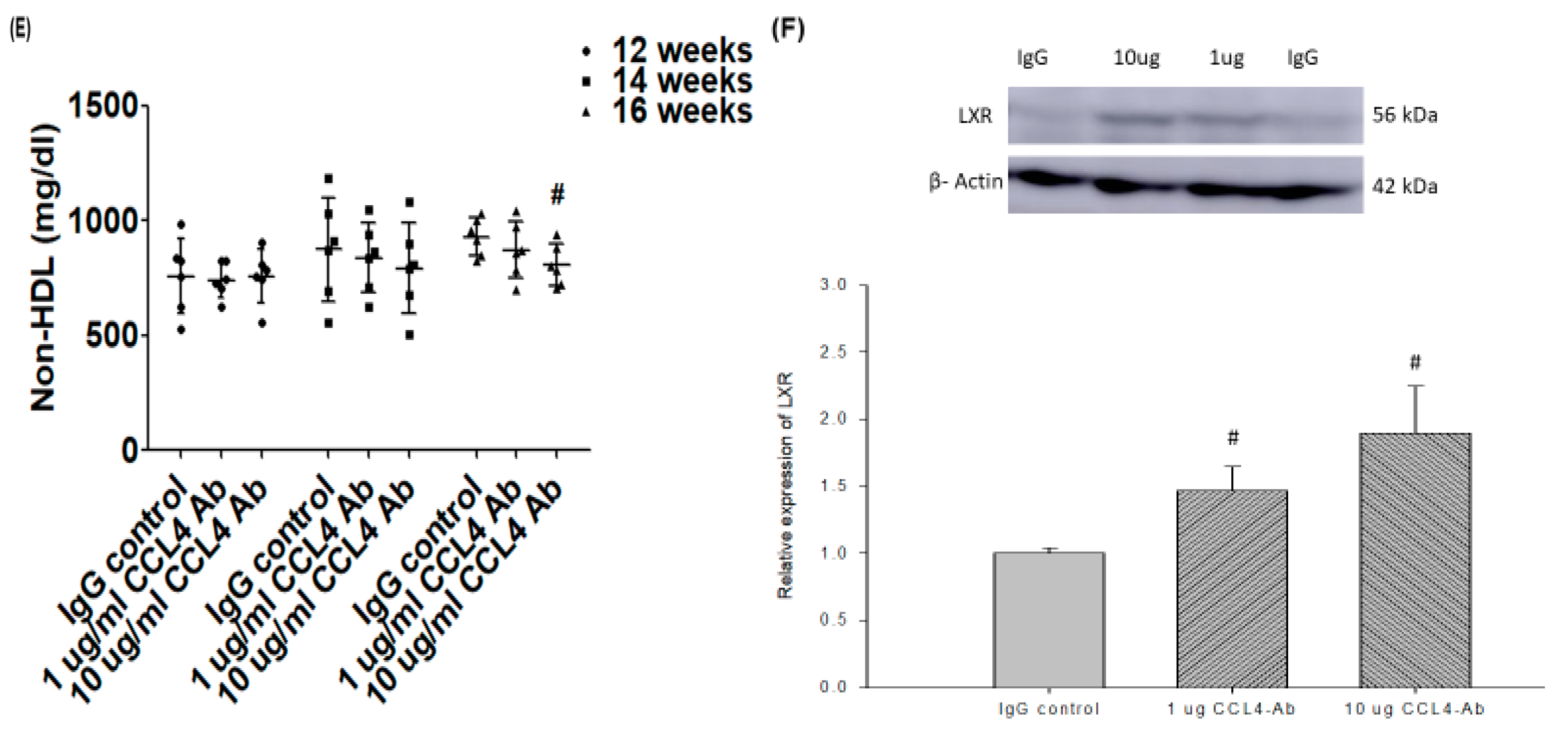 Ijms 21 06567 g002b Ijms 21 06567 g002b
