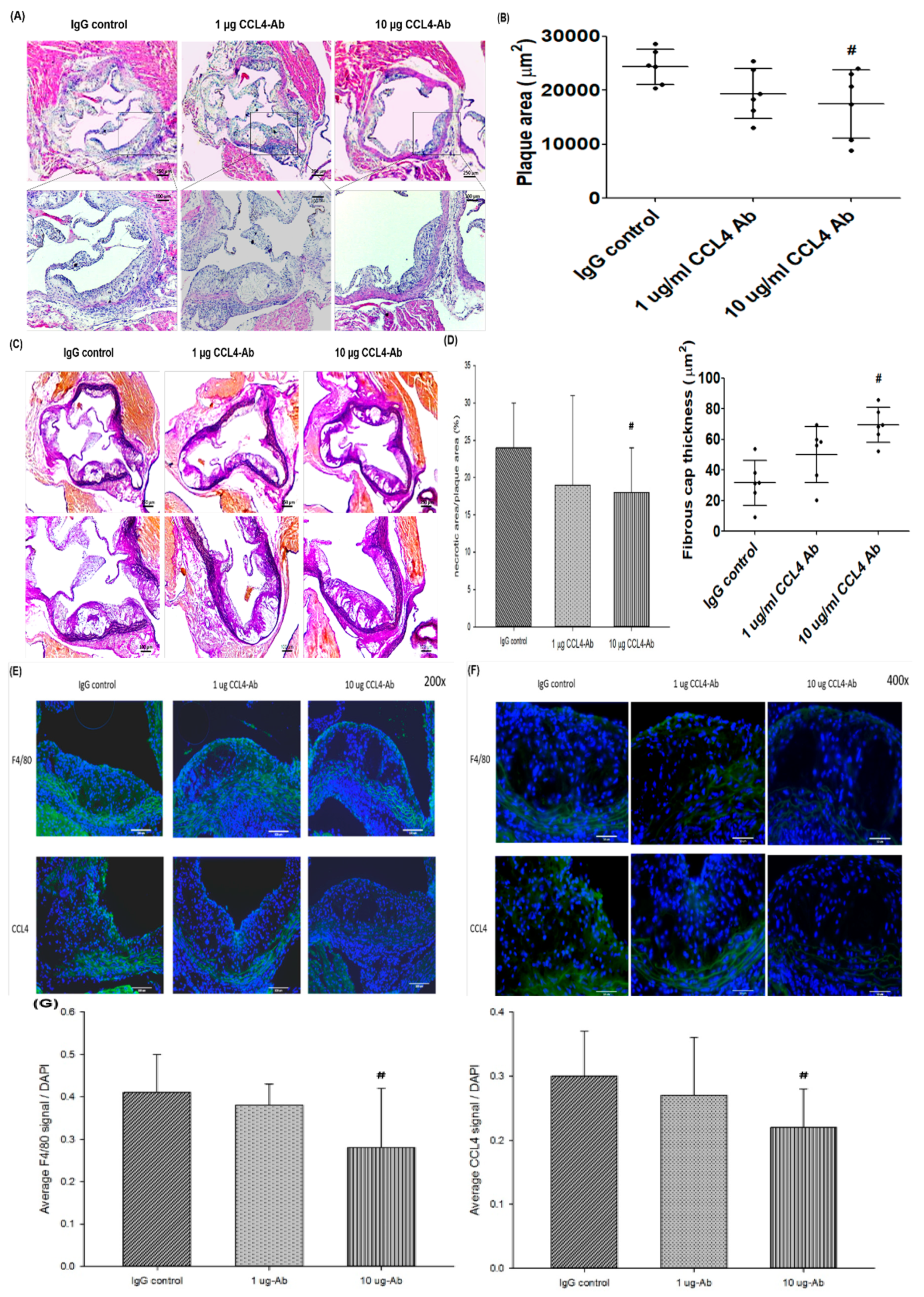 Ijms 21 06567 g003 Ijms 21 06567 g003