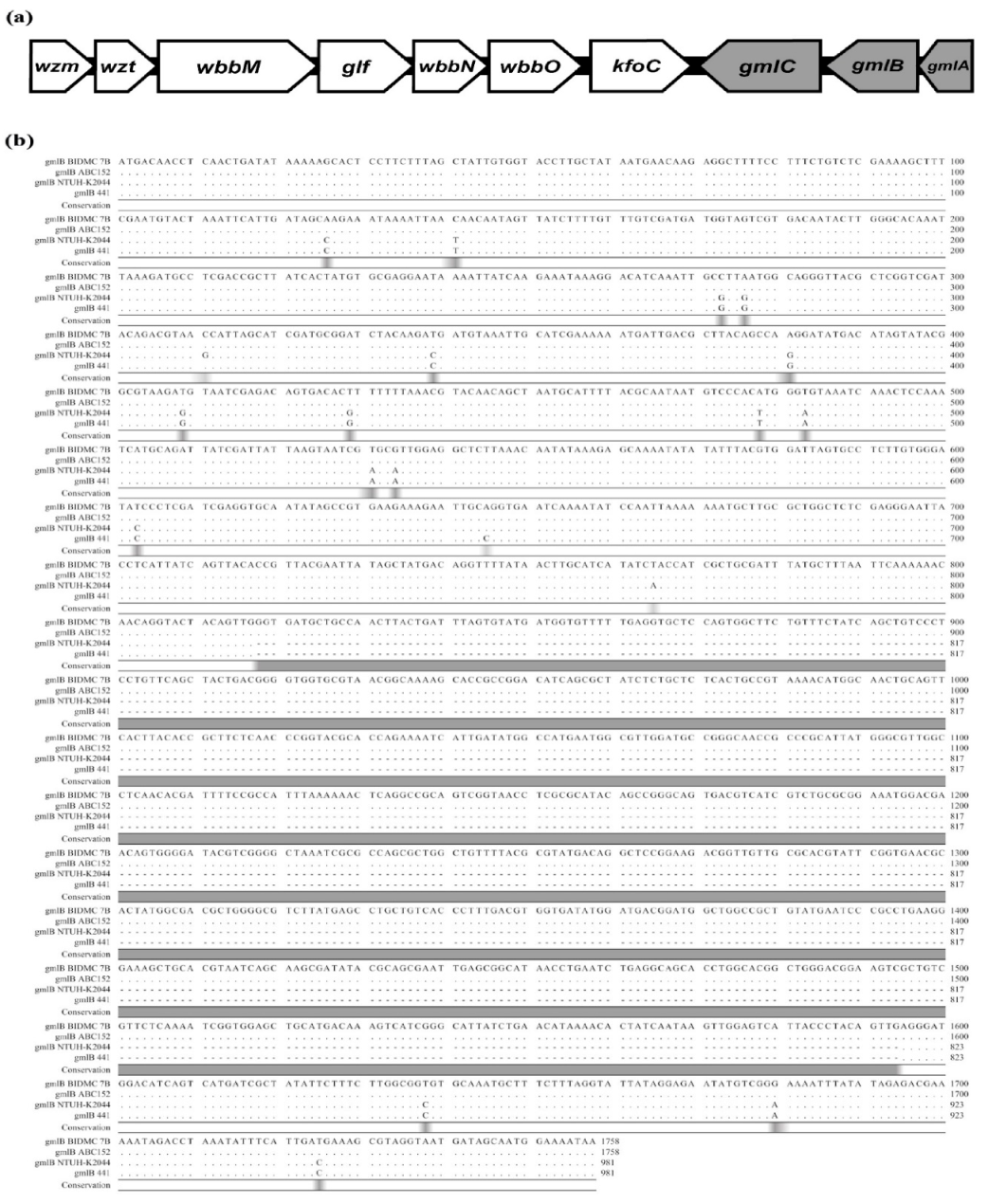 Ijms 21 06572 g001 Ijms 21 06572 g001