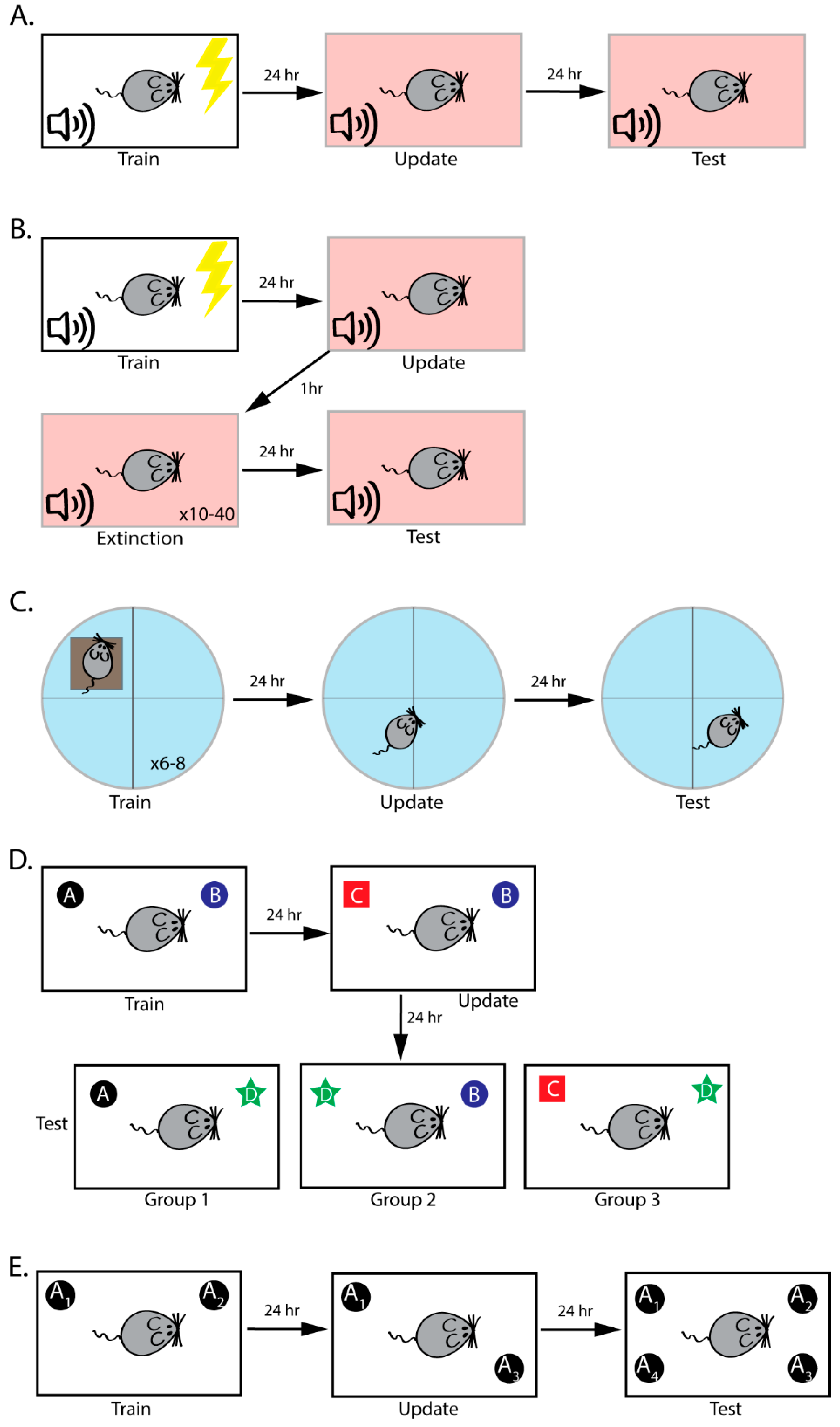 Ijms 21 06580 g001 Ijms 21 06580 g001