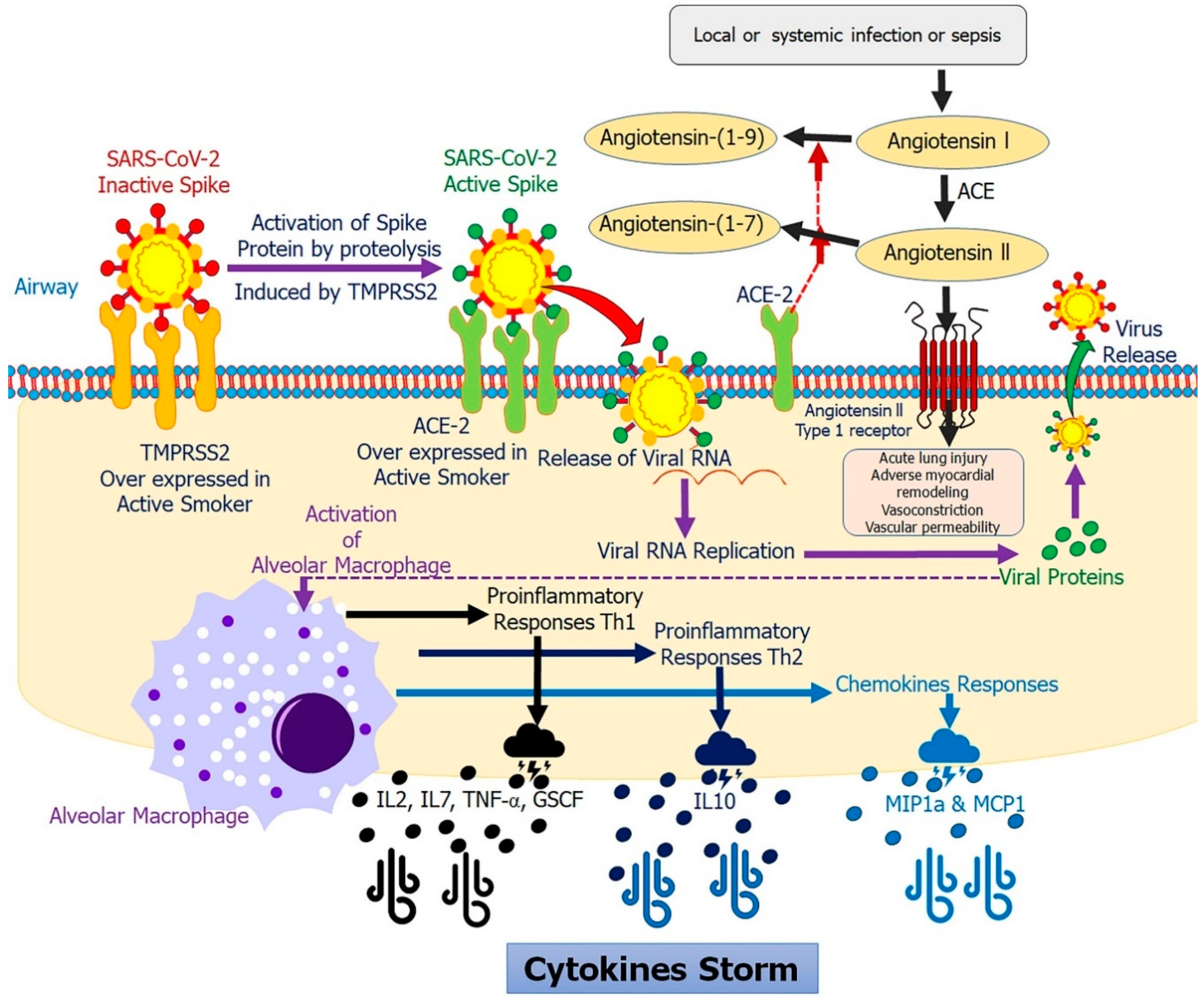 Ijms 21 06581 g003 Ijms 21 06581 g003