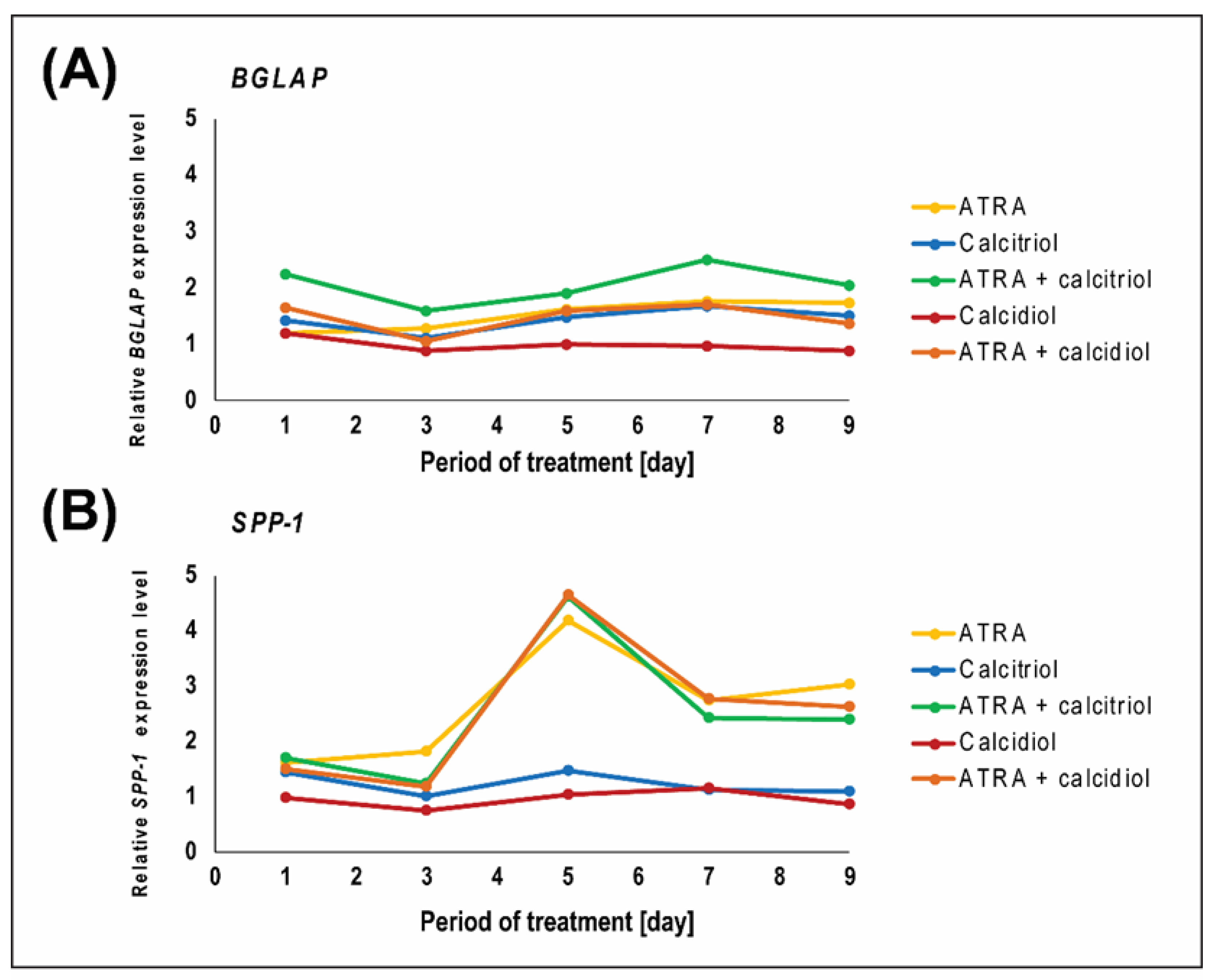 Ijms 21 06591 g002 Ijms 21 06591 g002