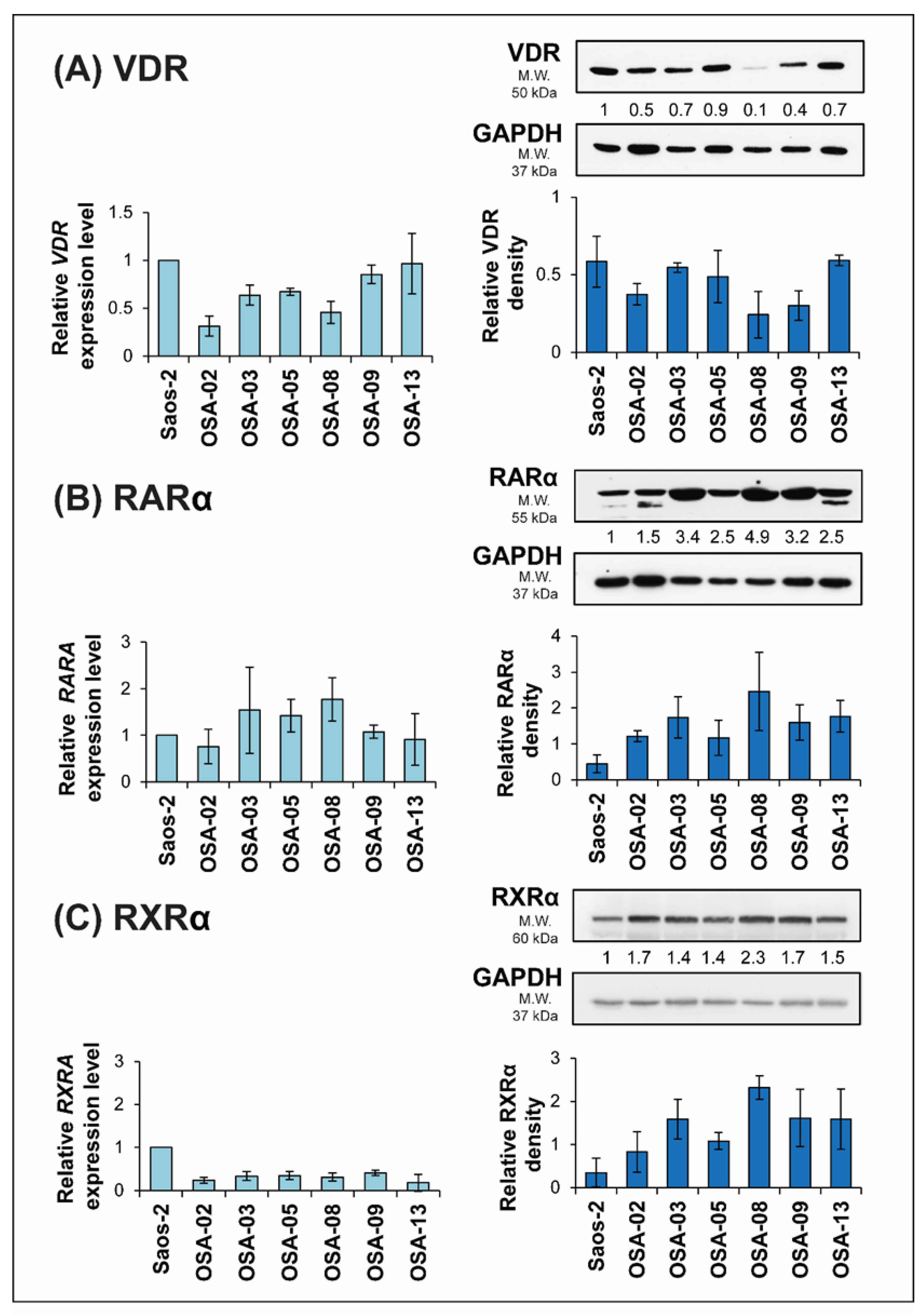 Ijms 21 06591 g004 Ijms 21 06591 g004