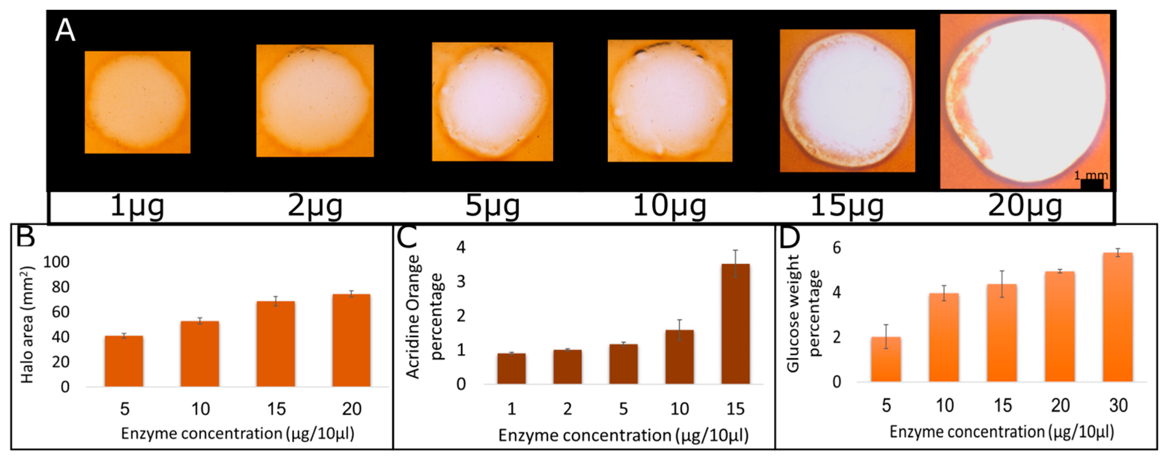 Ijms 21 06593 g002 Ijms 21 06593 g002