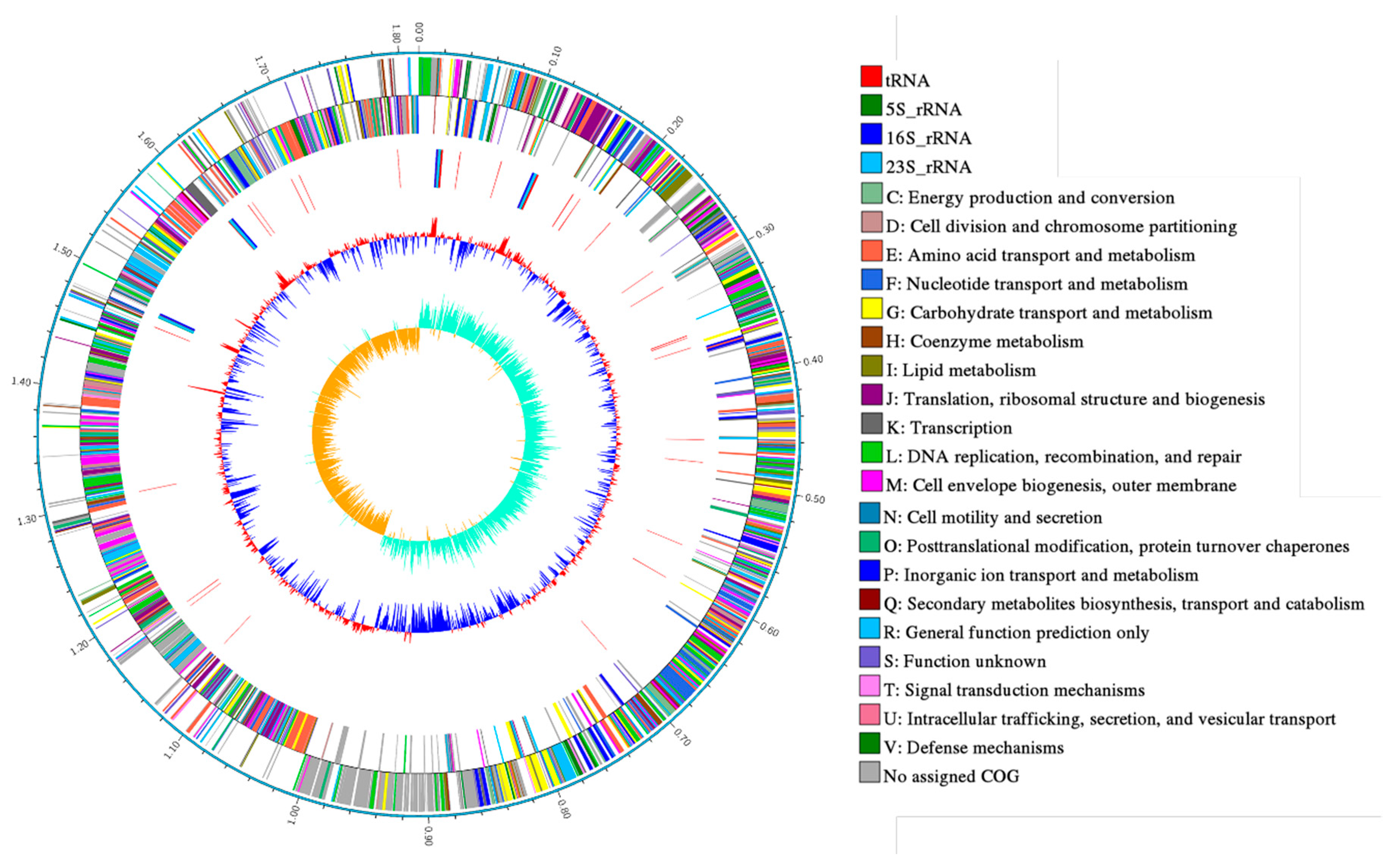 Ijms 21 06596 g001 Ijms 21 06596 g001