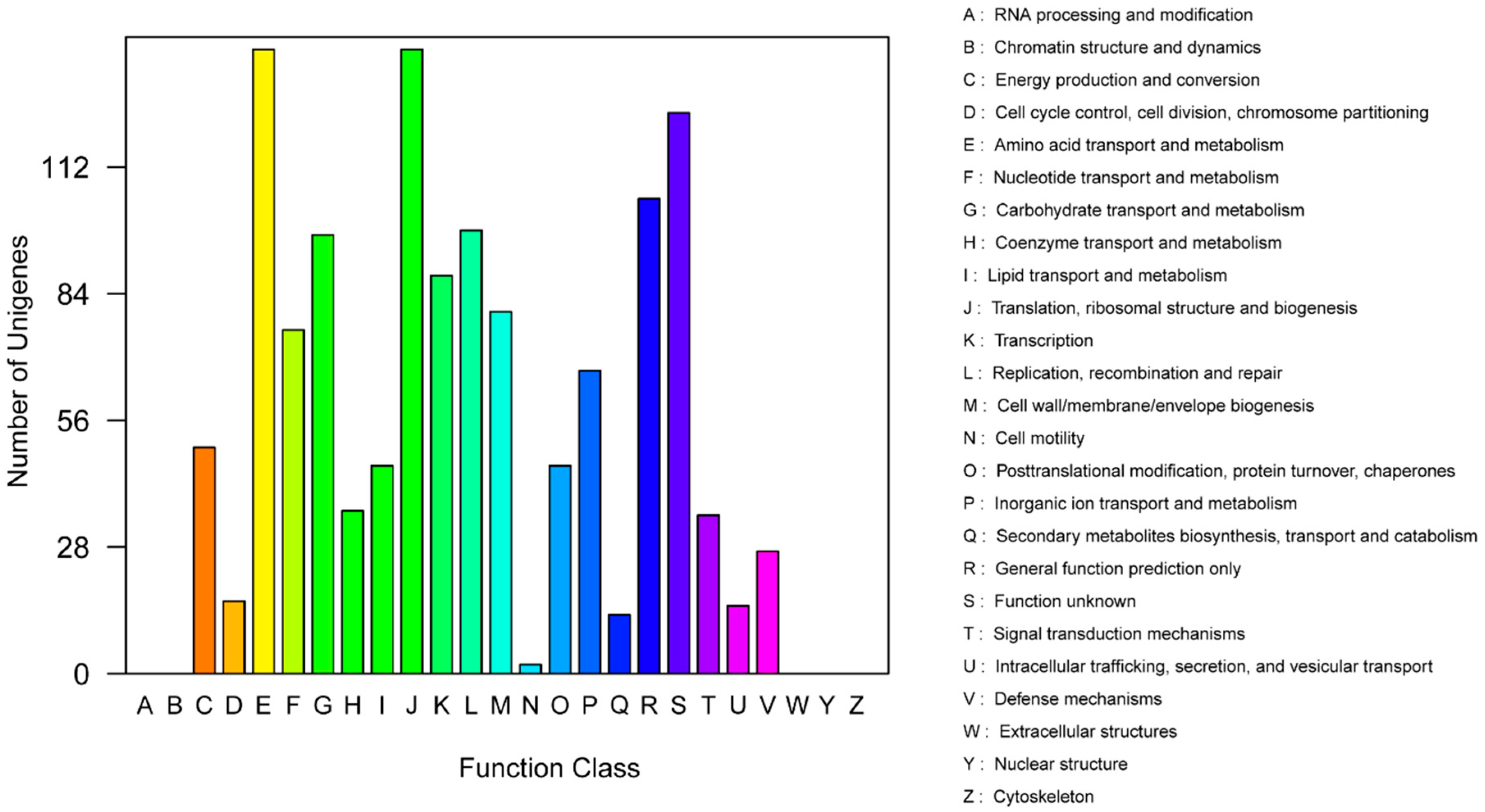 Ijms 21 06596 g002 Ijms 21 06596 g002