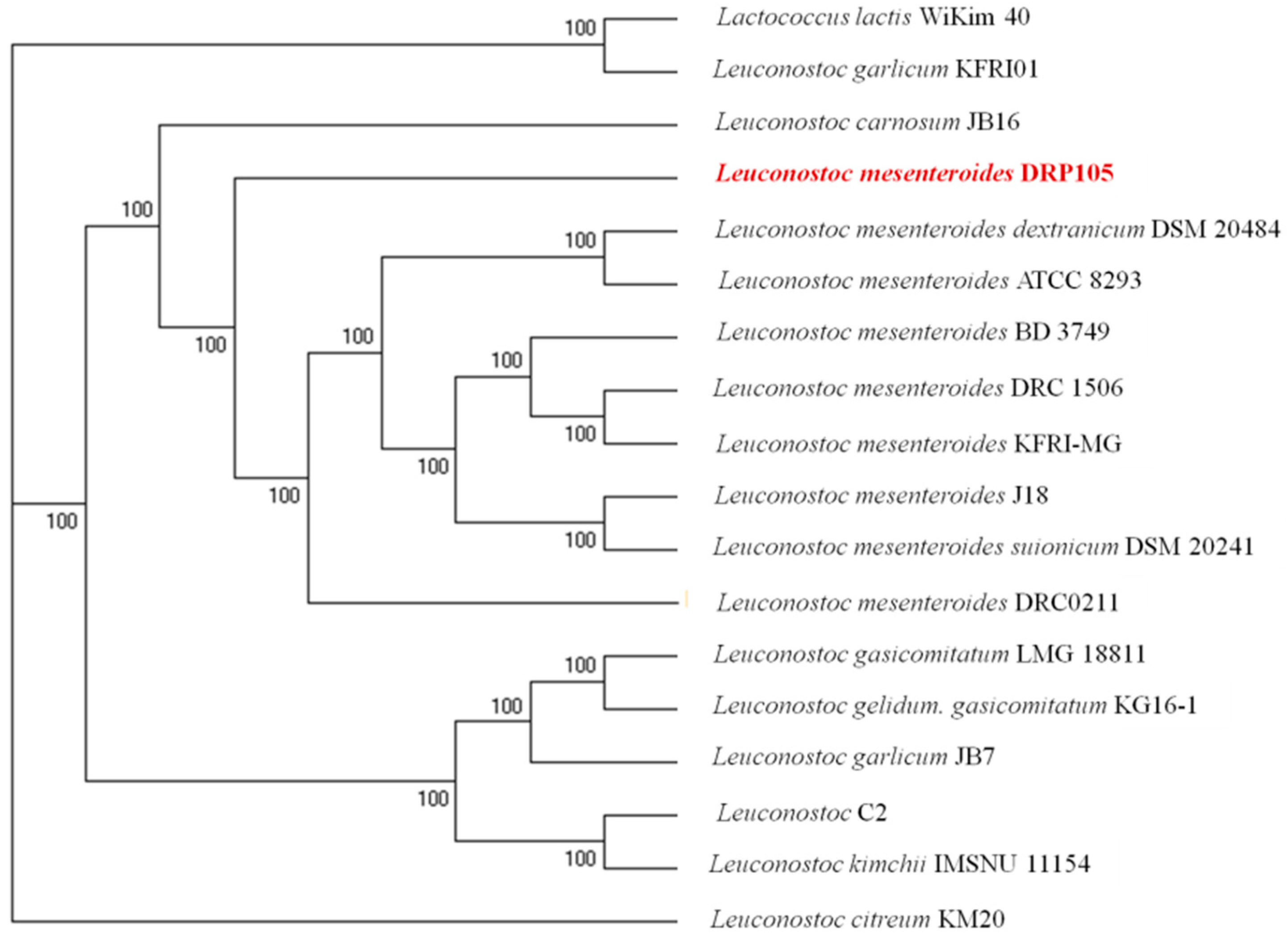 Ijms 21 06596 g004 Ijms 21 06596 g004