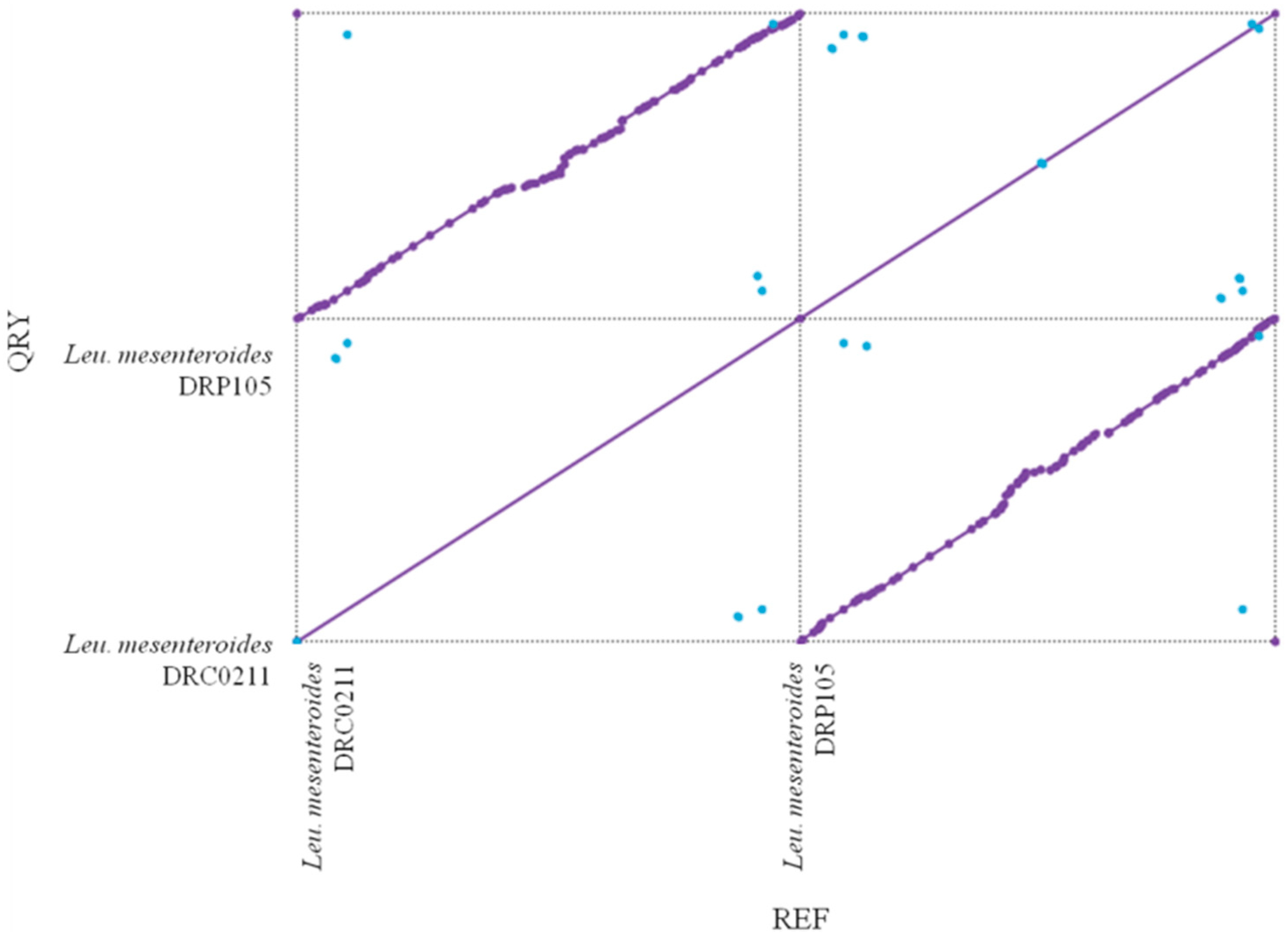 Ijms 21 06596 g005 Ijms 21 06596 g005