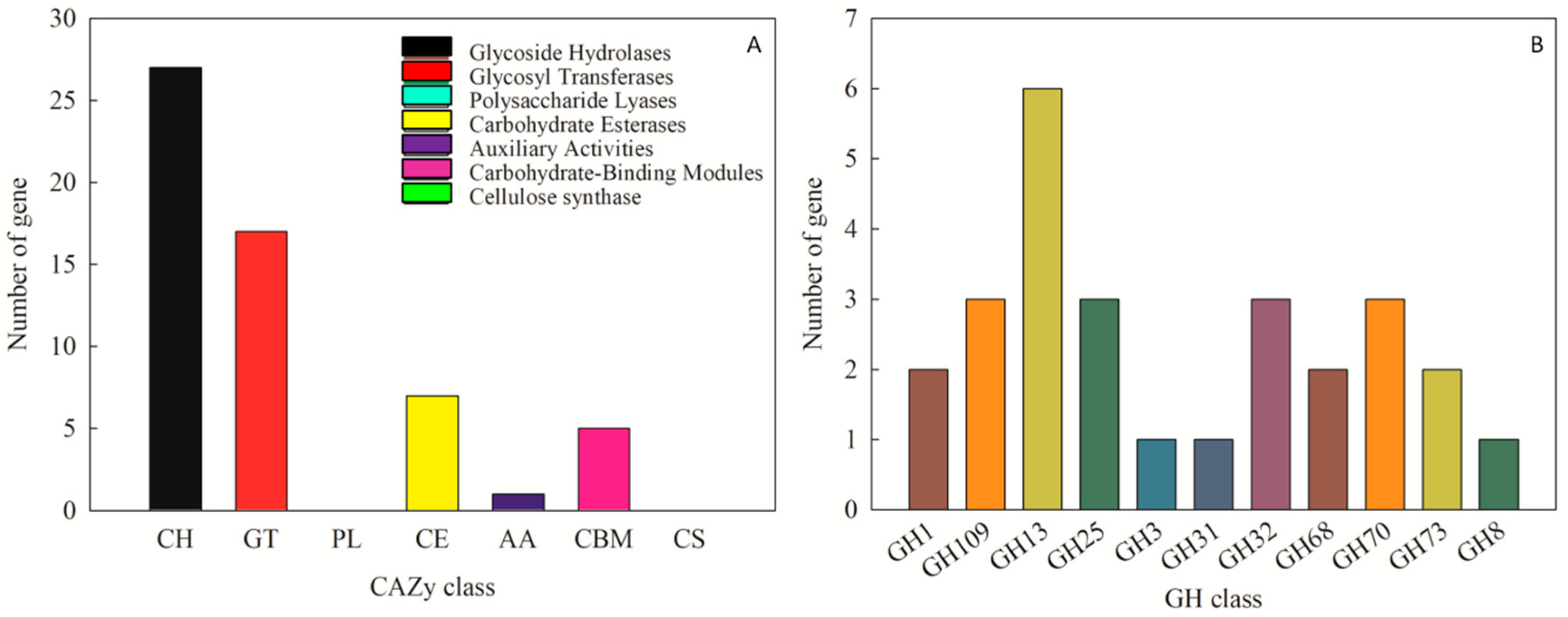 Ijms 21 06596 g007 Ijms 21 06596 g007